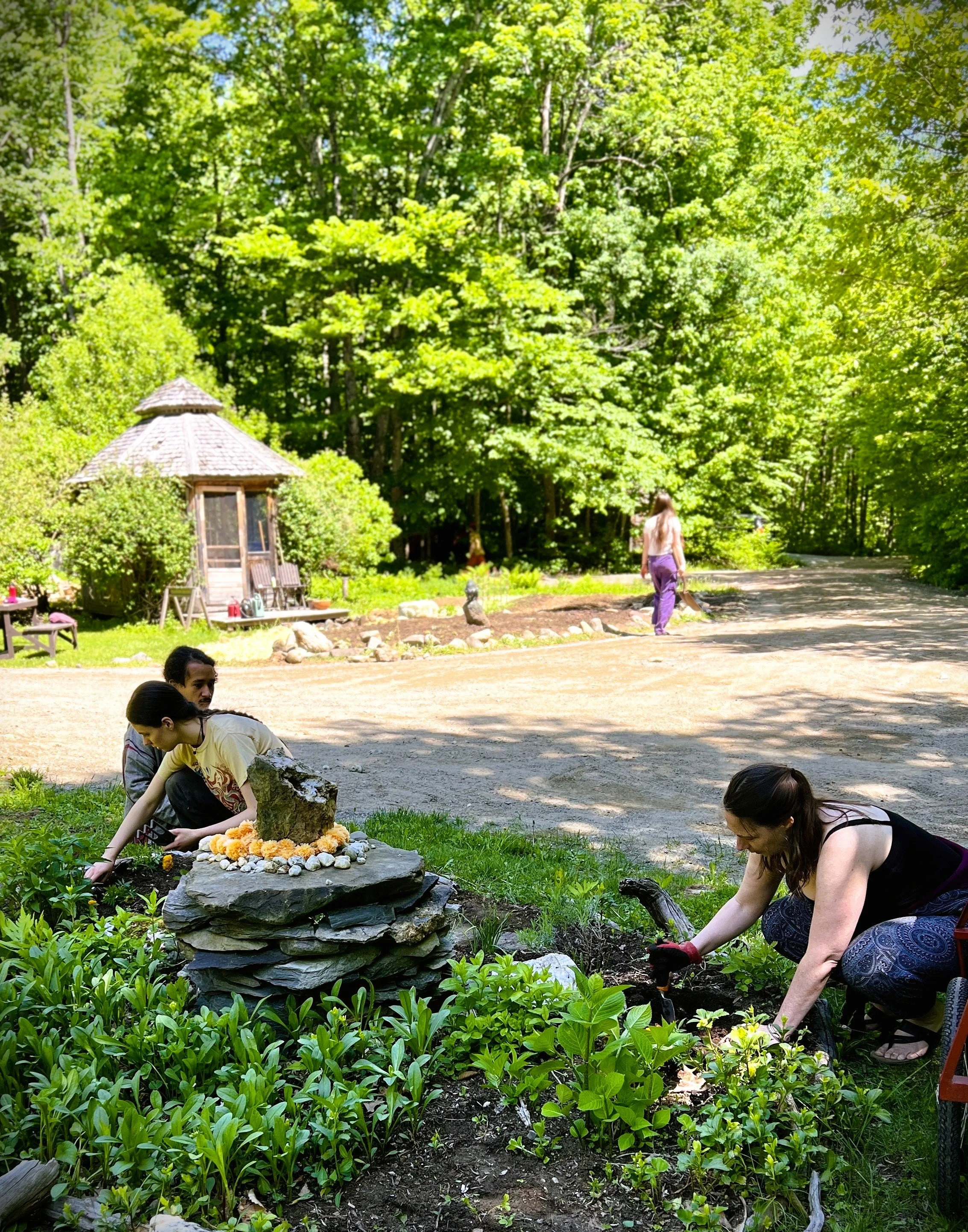 A group in garden Seva in the Shade