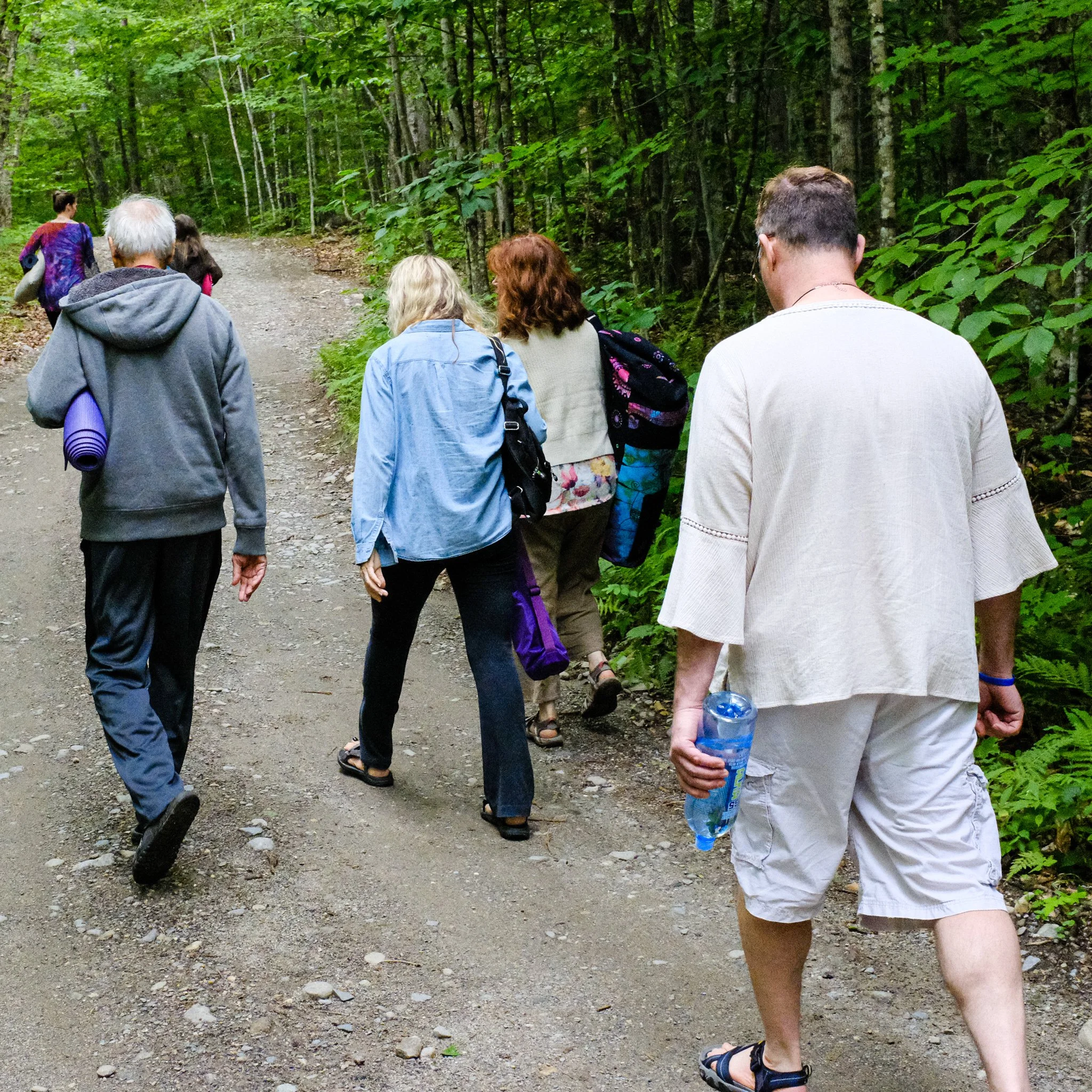 Walking up the Ashram road