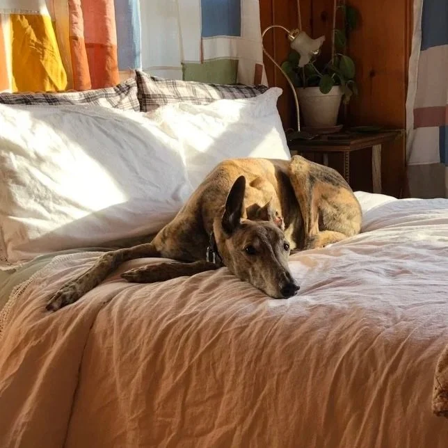 “Archie” AKA Mickey Copa