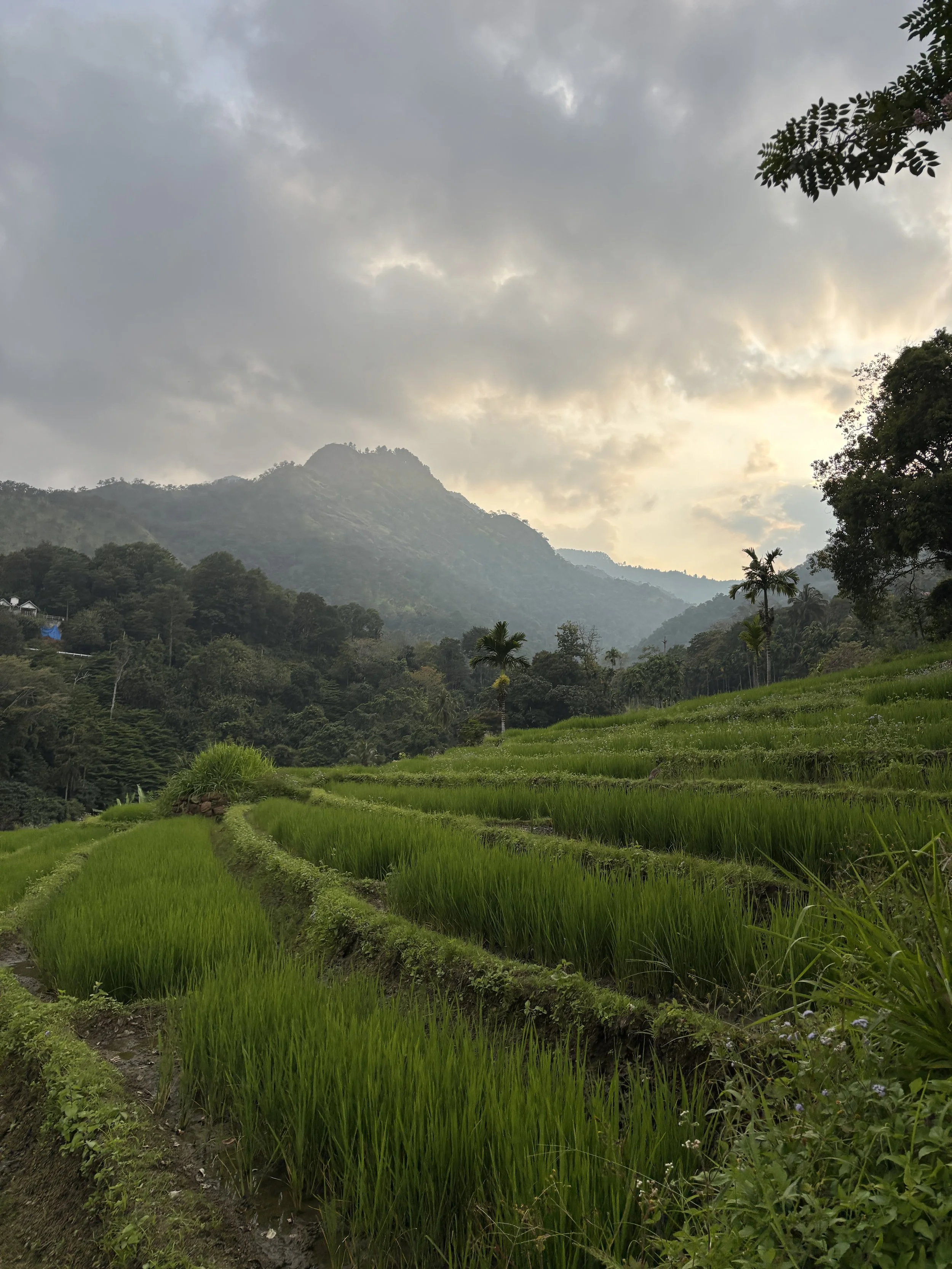 Why Sri Lanka is Justifiably on More and More People’s Bucket Lists