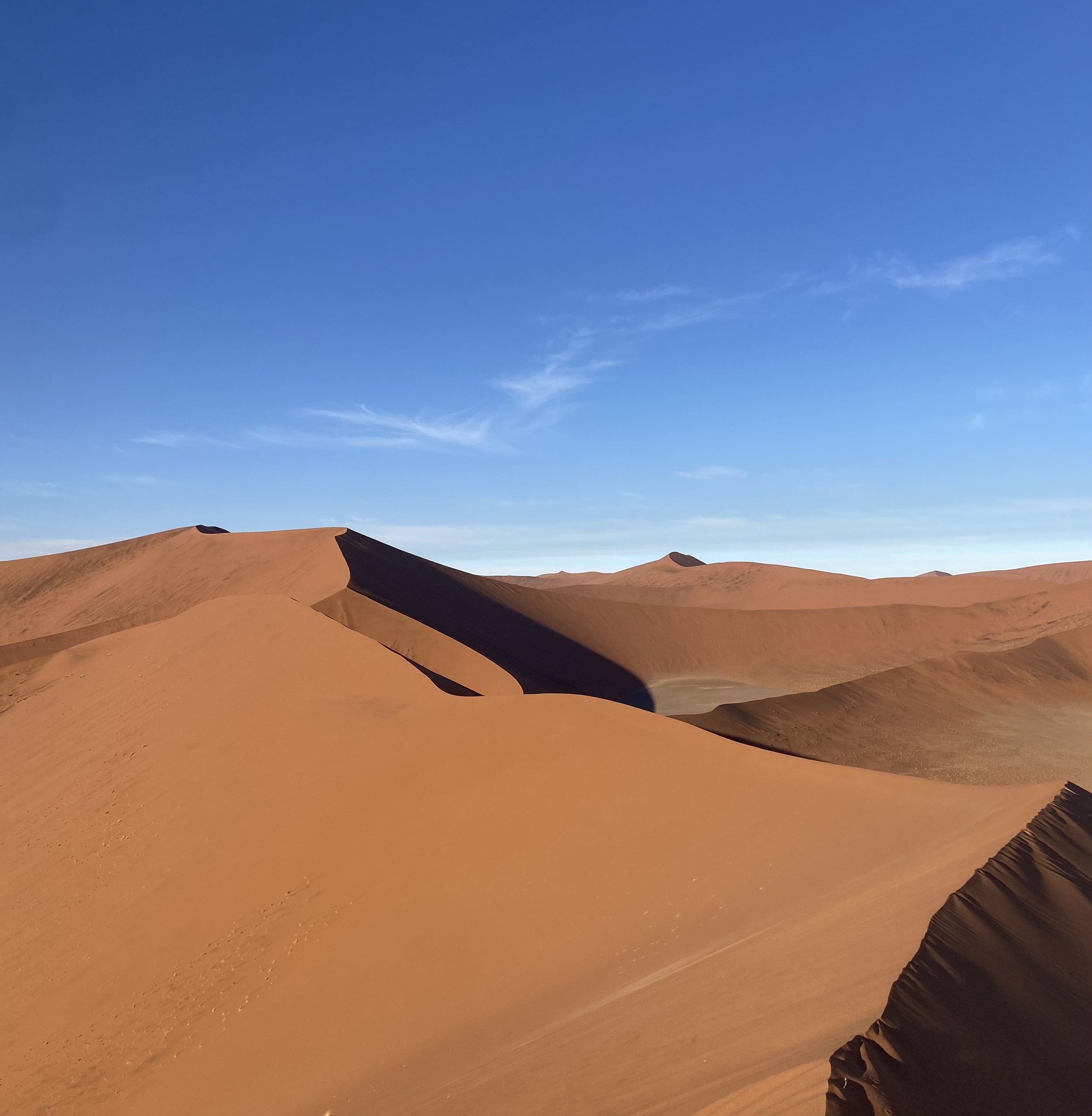 Magnificent vista of the Namib Desert Dunes that run to the Atlantic Ocean