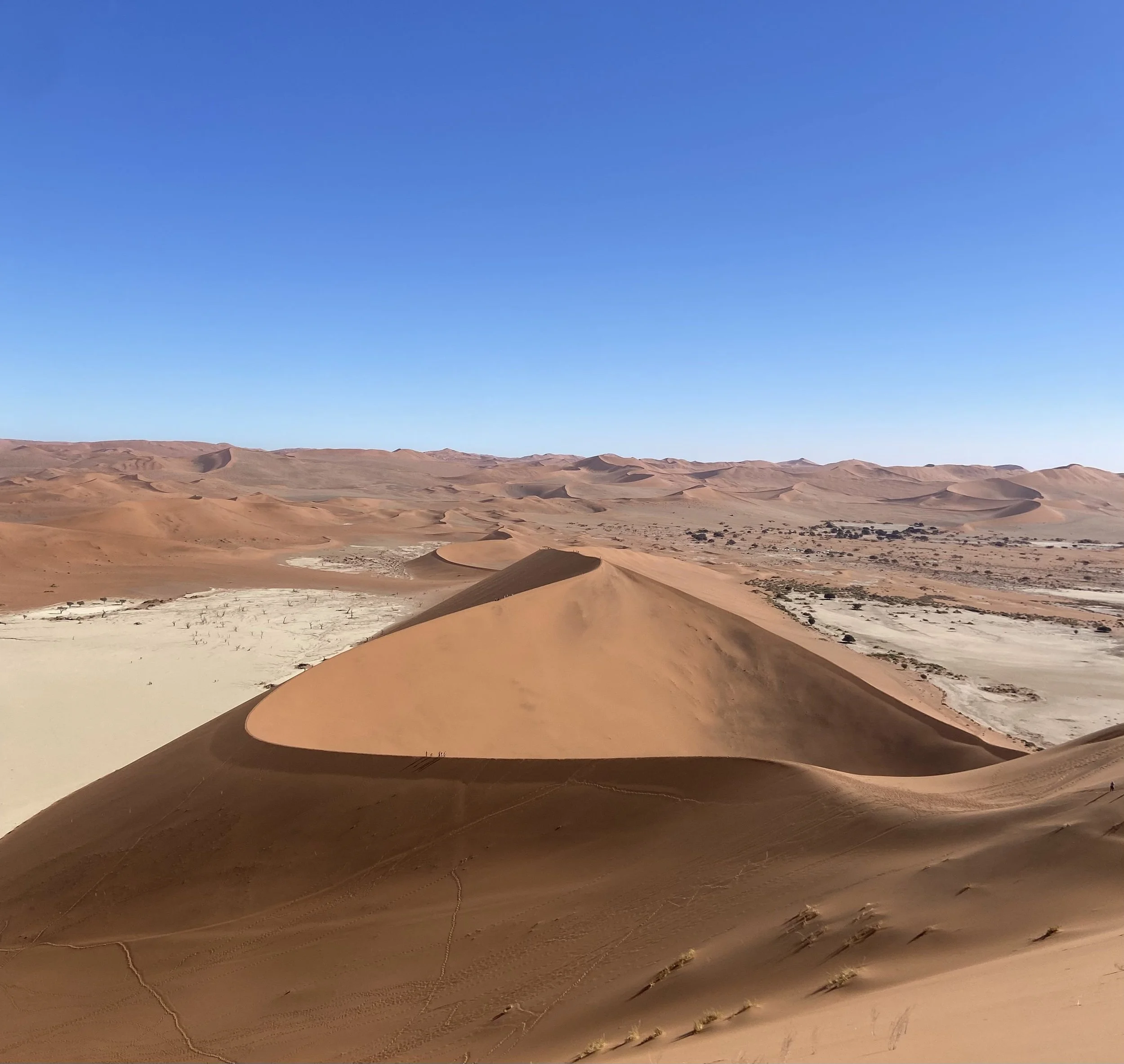 Ridge of a high orange sand dune looking over the vast Namib Desert in Sossusvlei Namibia.
