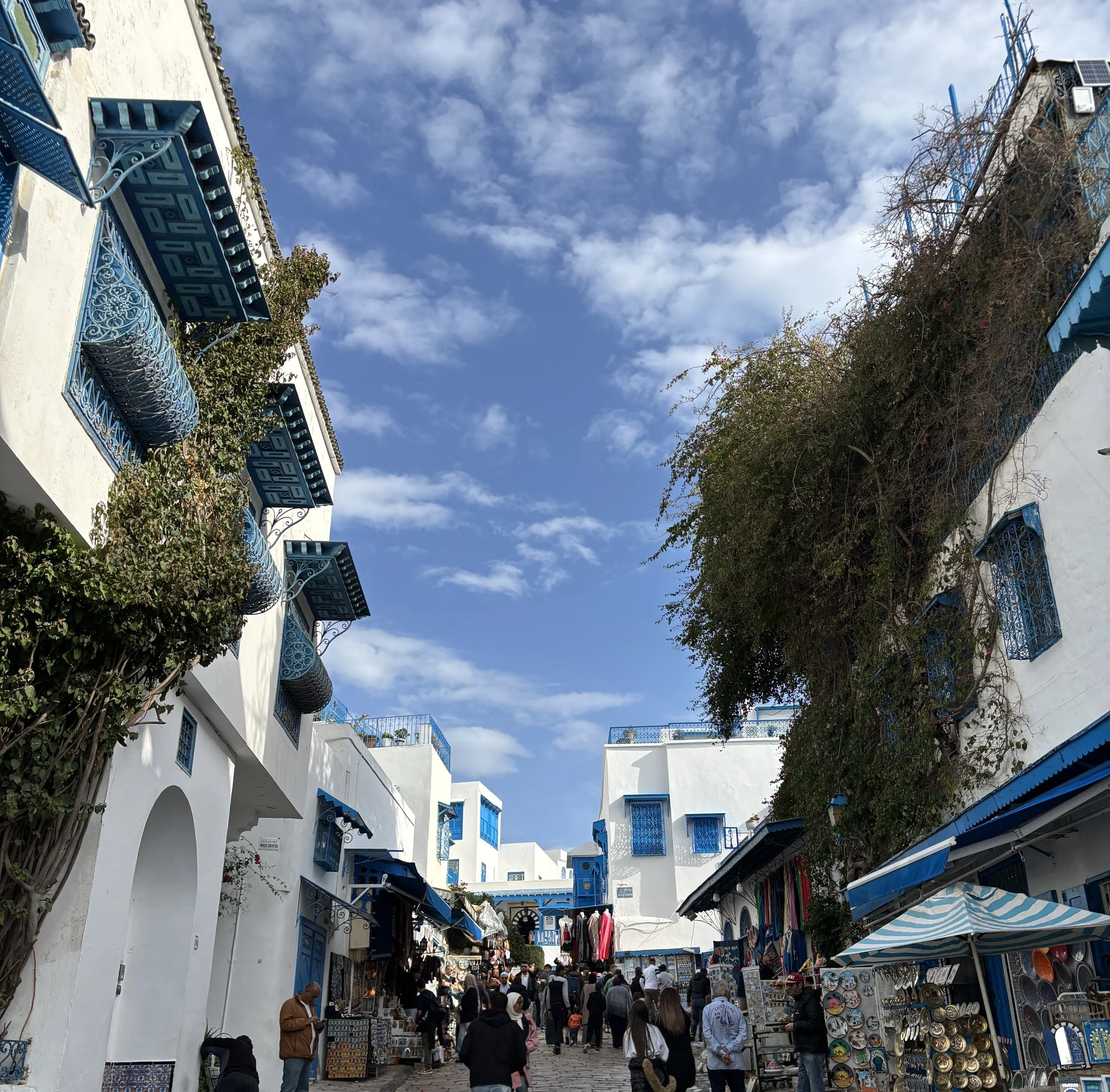 Sidi Bou Said white walls and blue windows