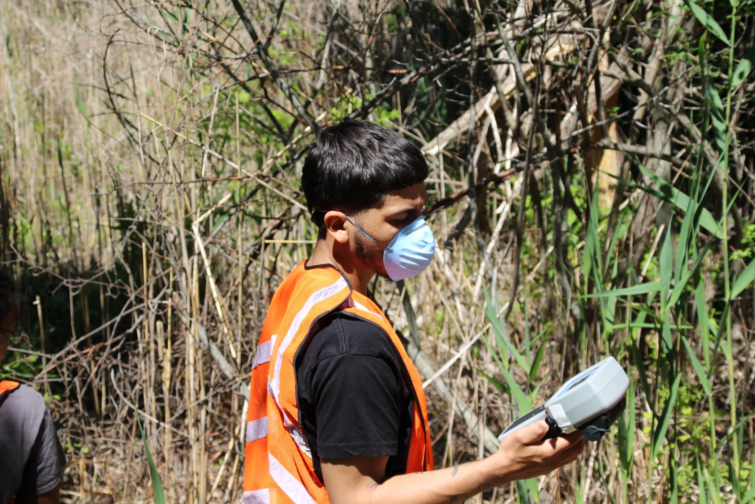 2020-06-17 16.32.21.jpg