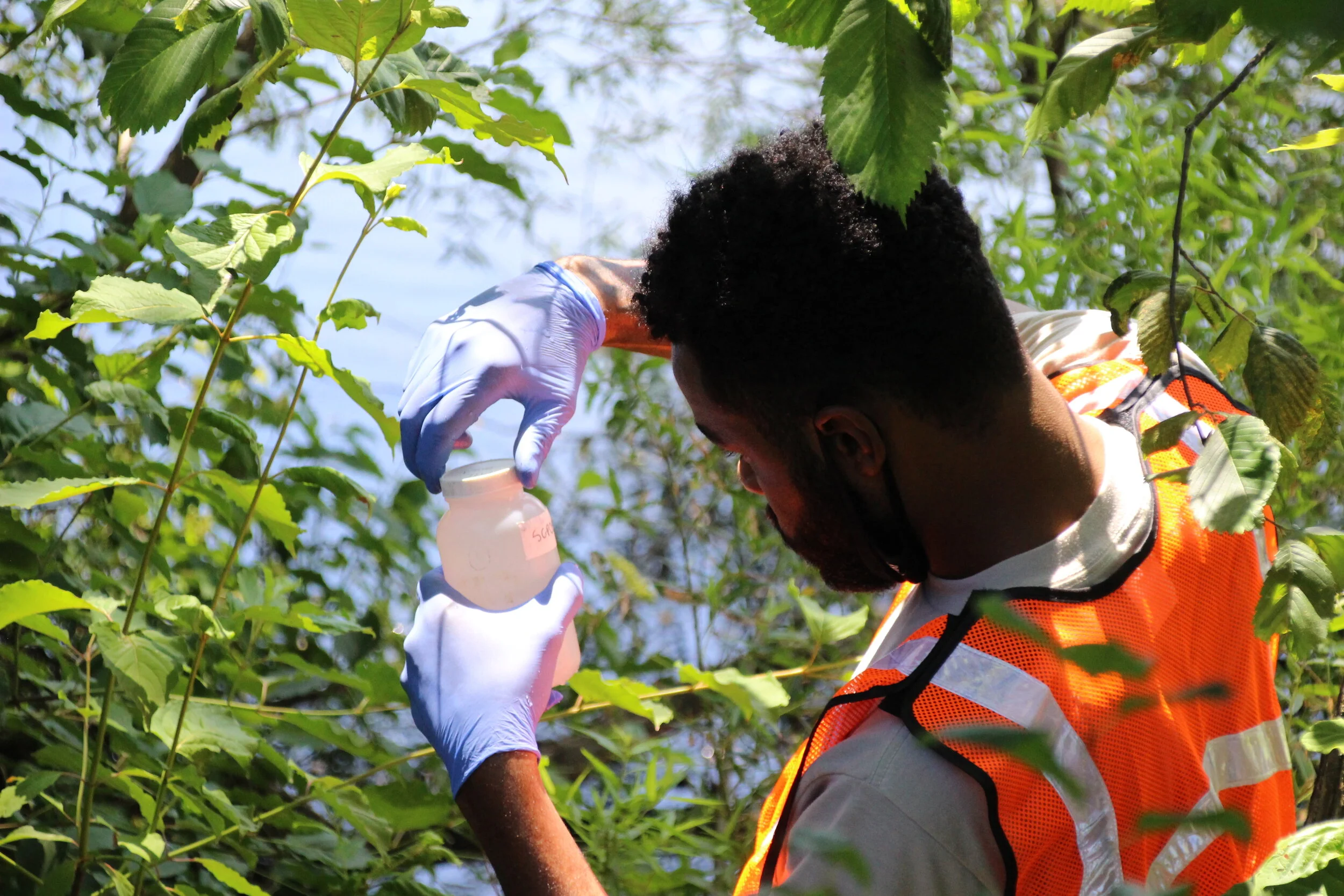 2020-07-15 17.03.55.jpg