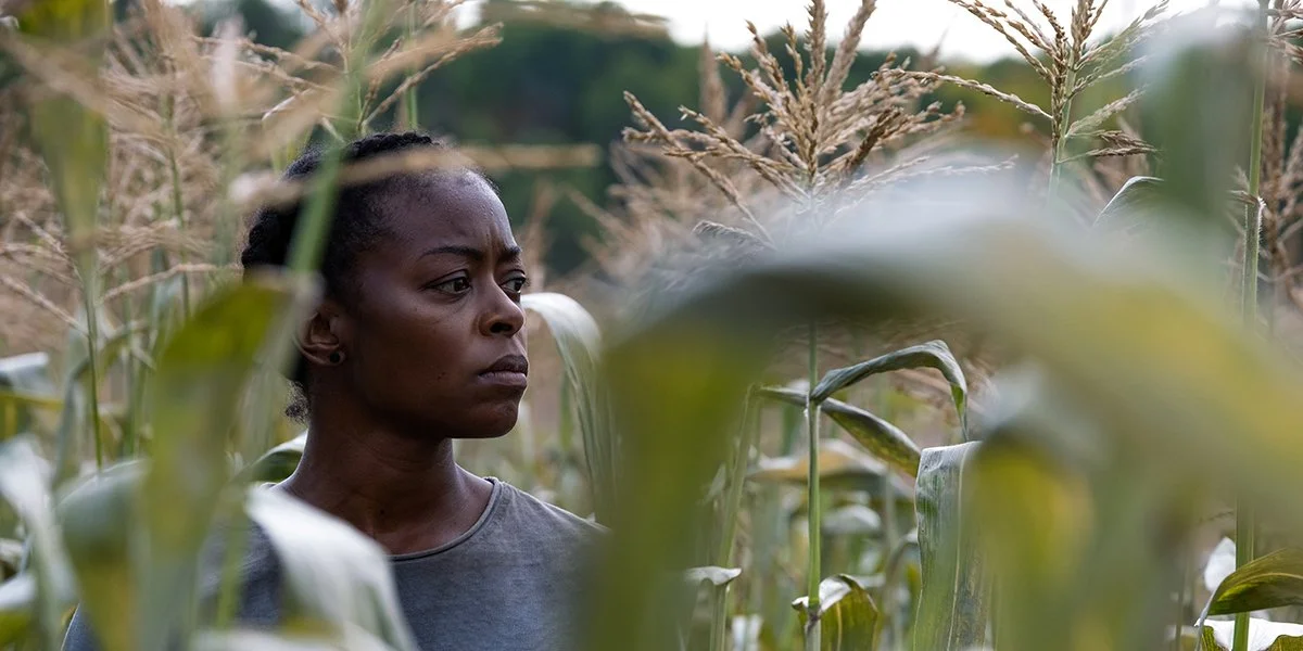 A woman with short, curly hair wearing a gray shirt standing in a cornfield, looking serious and contemplative.