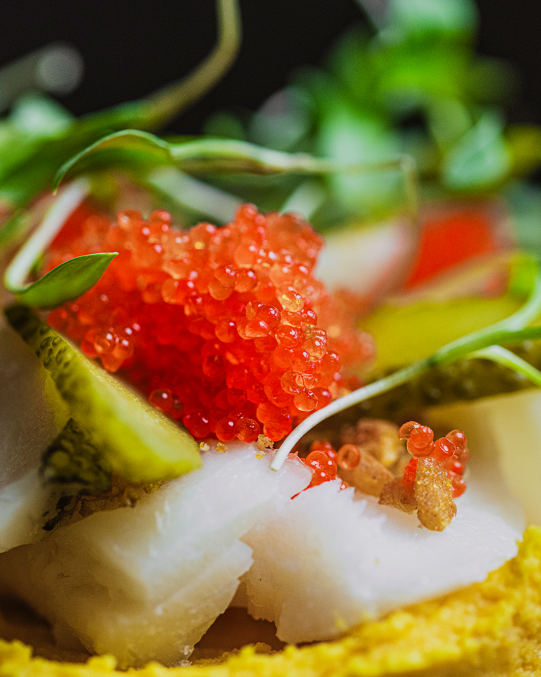 ¿Dónde comer de tapas en Valencia y probar cosas diferentes?