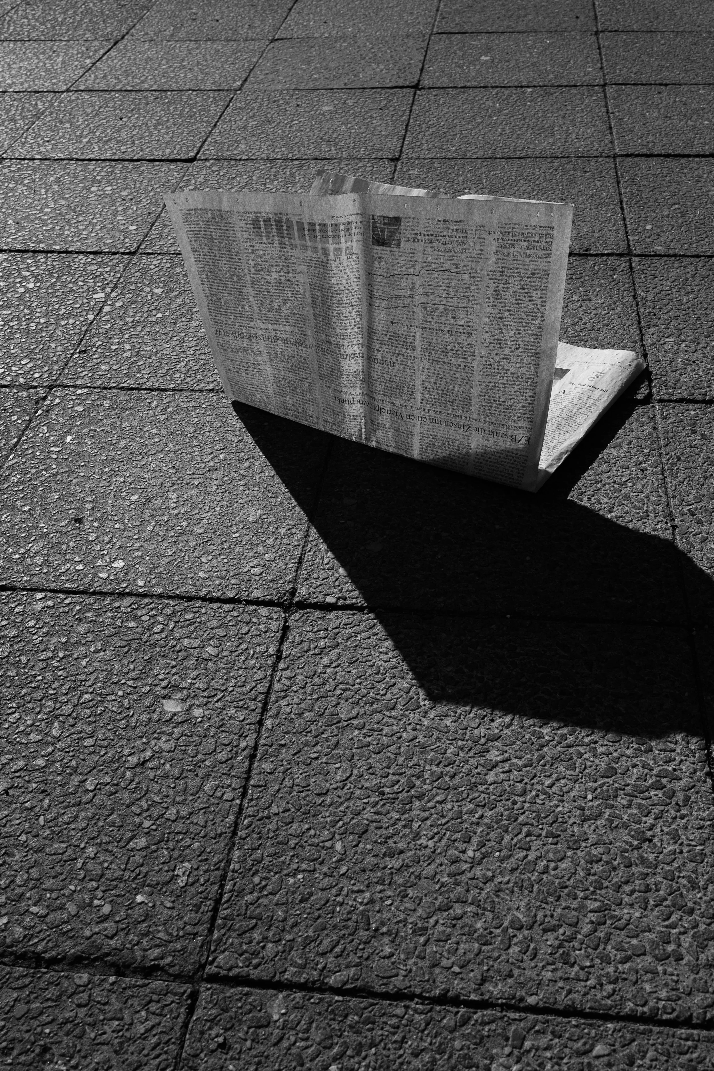 DSCF6531.jpg