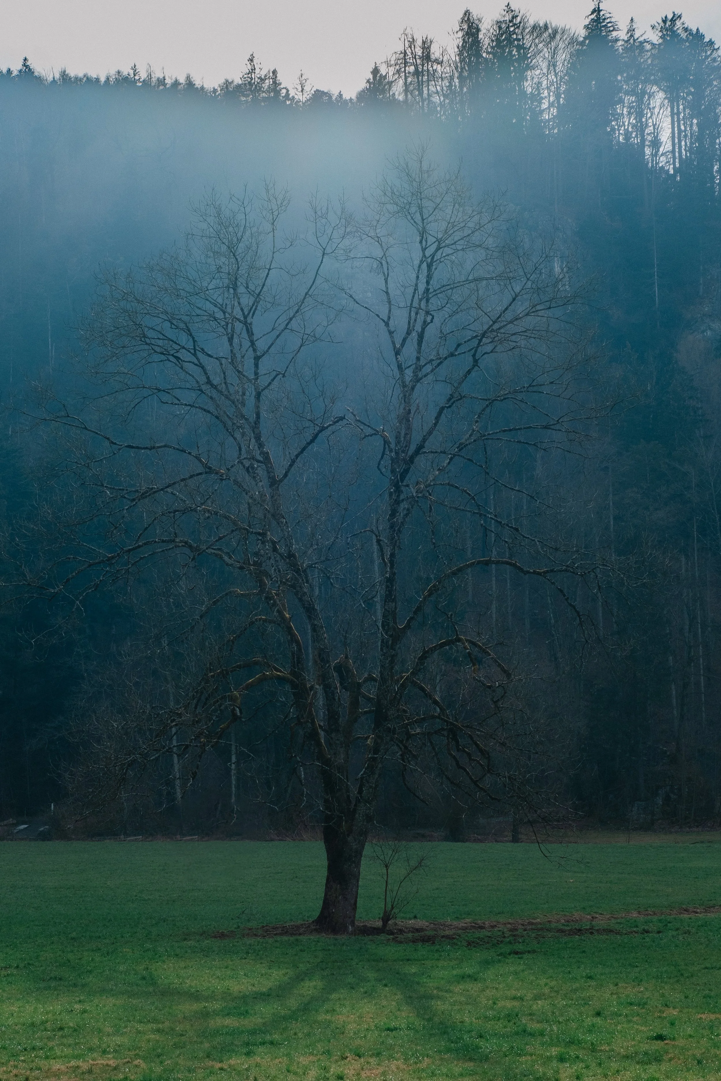 DSCF3185.jpg