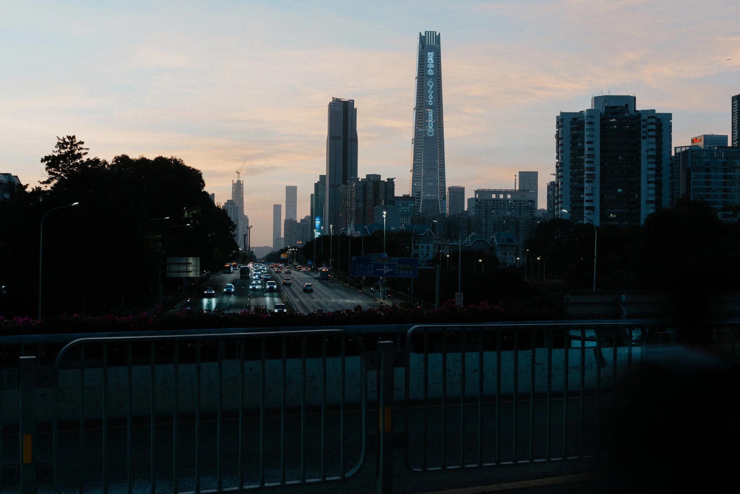 DSC04030.jpg