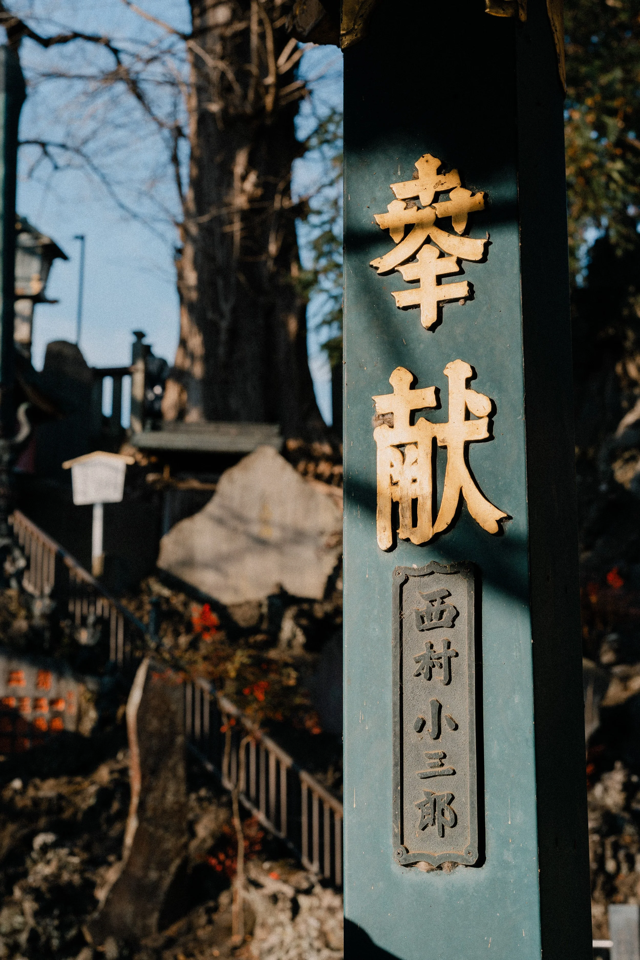 DSC08206.jpg