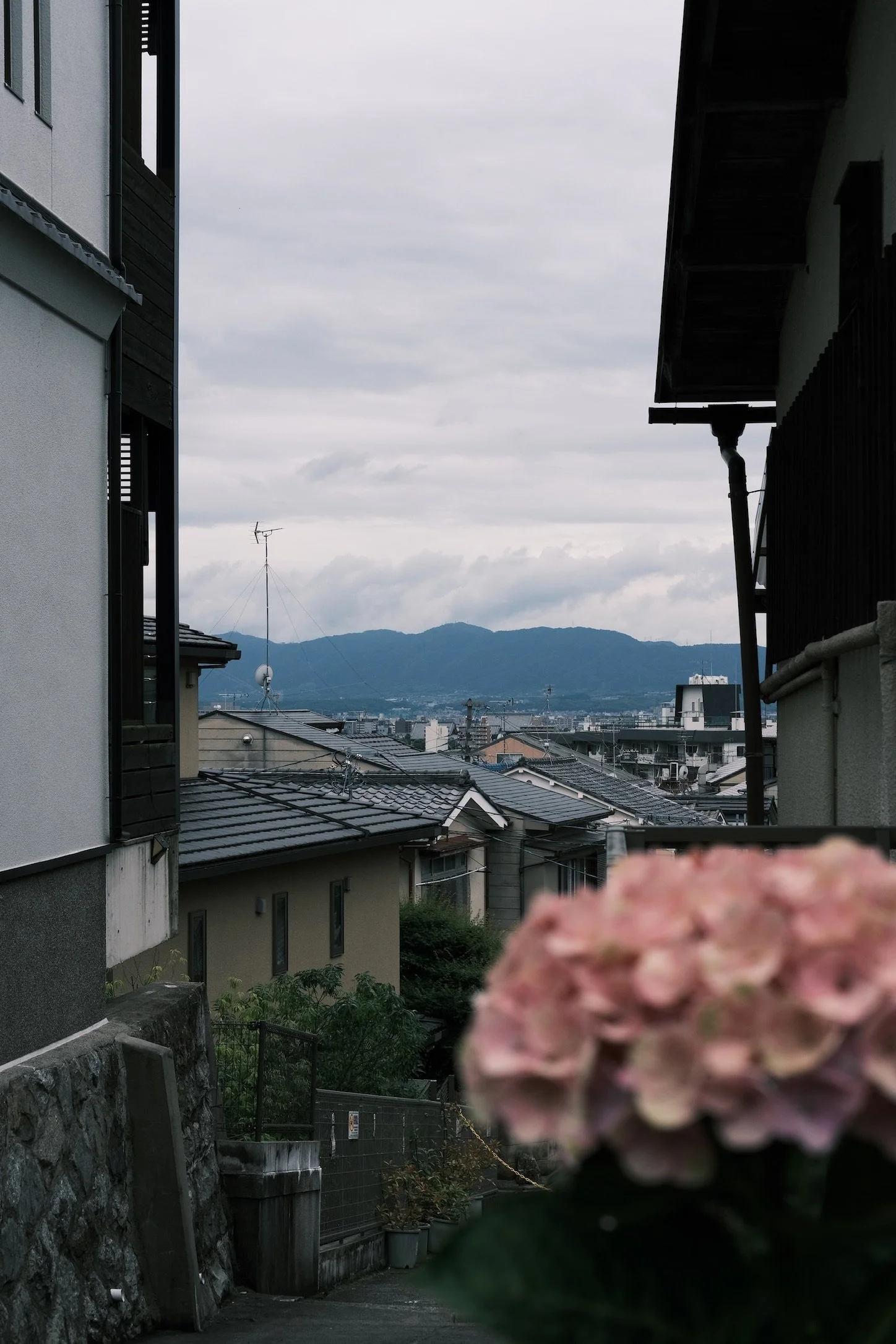 FA6425B1-A981-42F4-8093-3C2739025685_1_102_o.jpeg