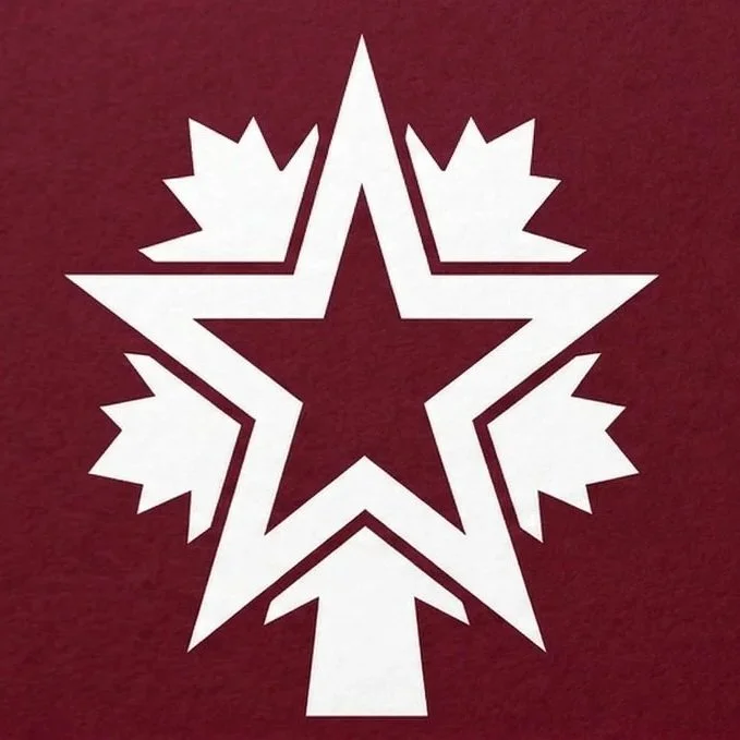 Maple &amp; Lone Star Consulting