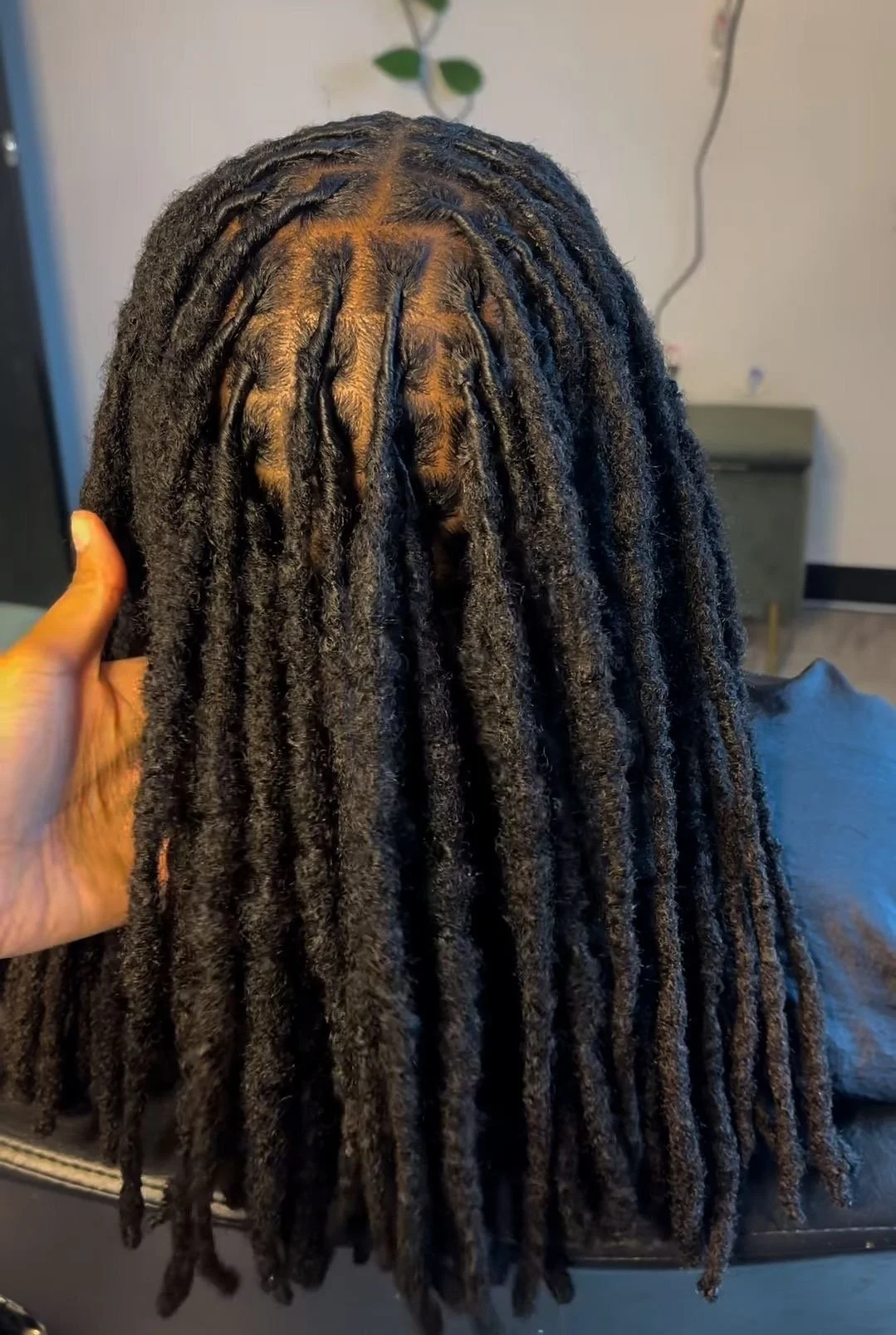 Human Locs