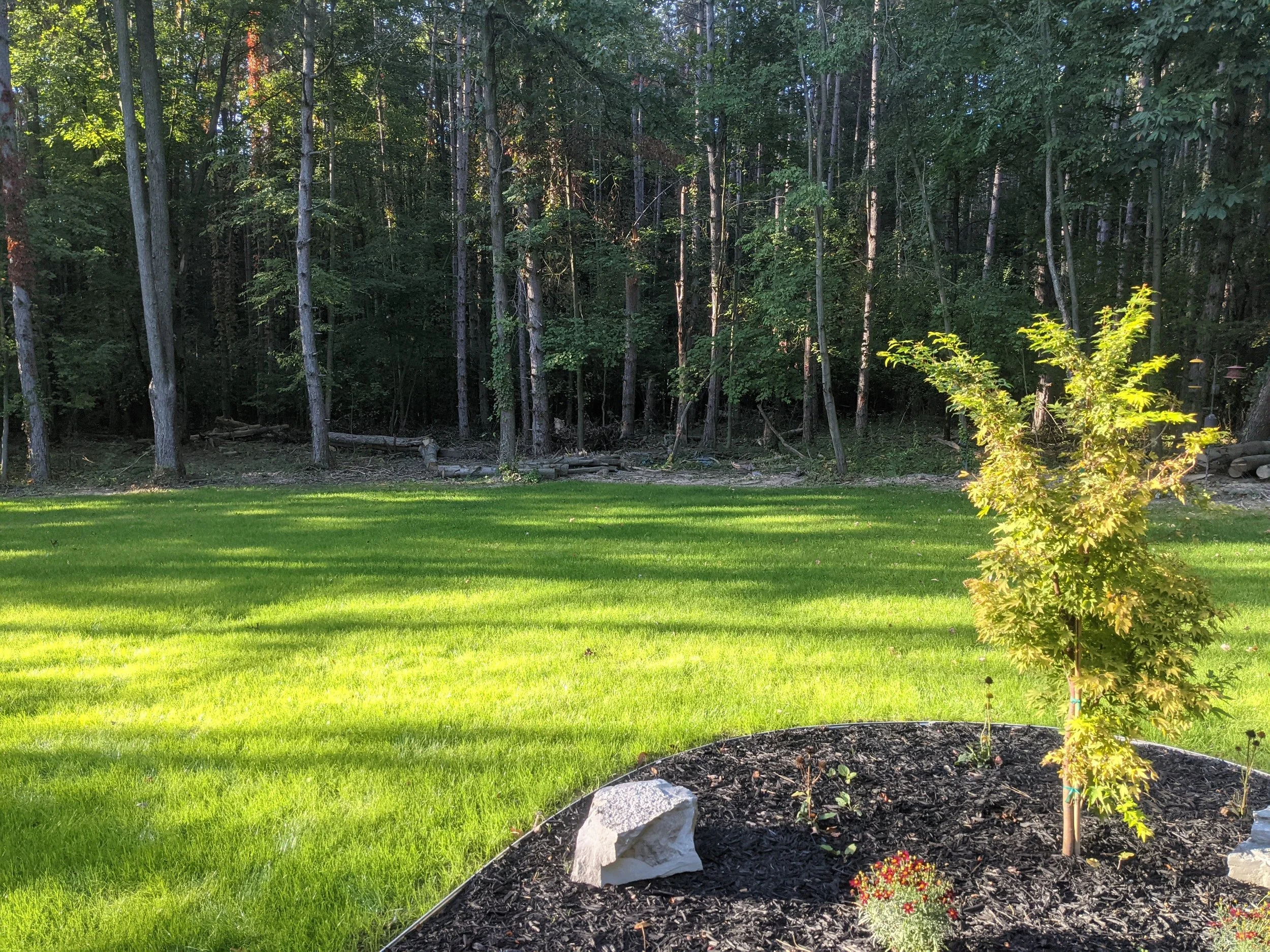 PXL_20210930_214842820.jpg
