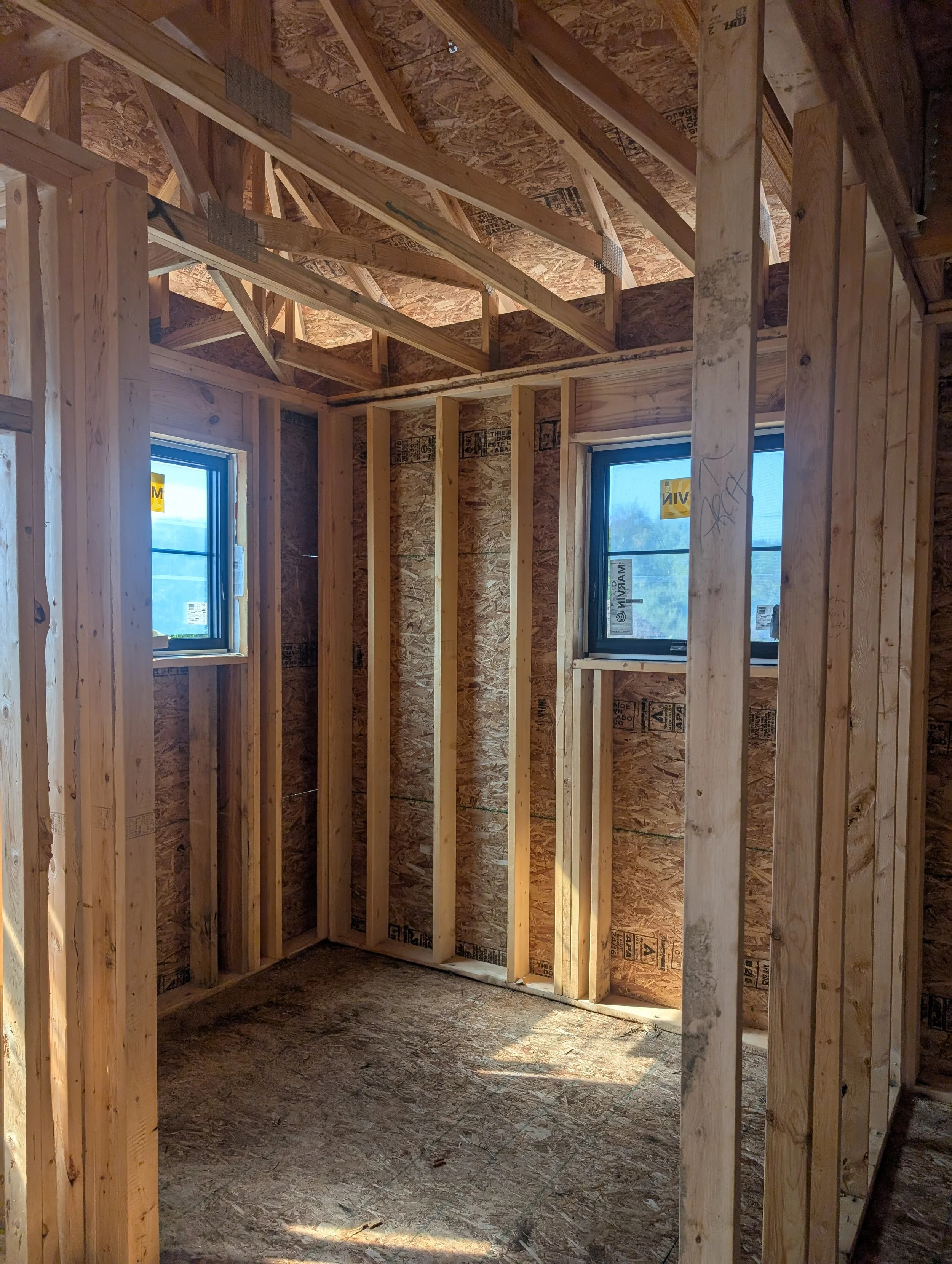 PXL_20250926_171516871.MP.jpg
