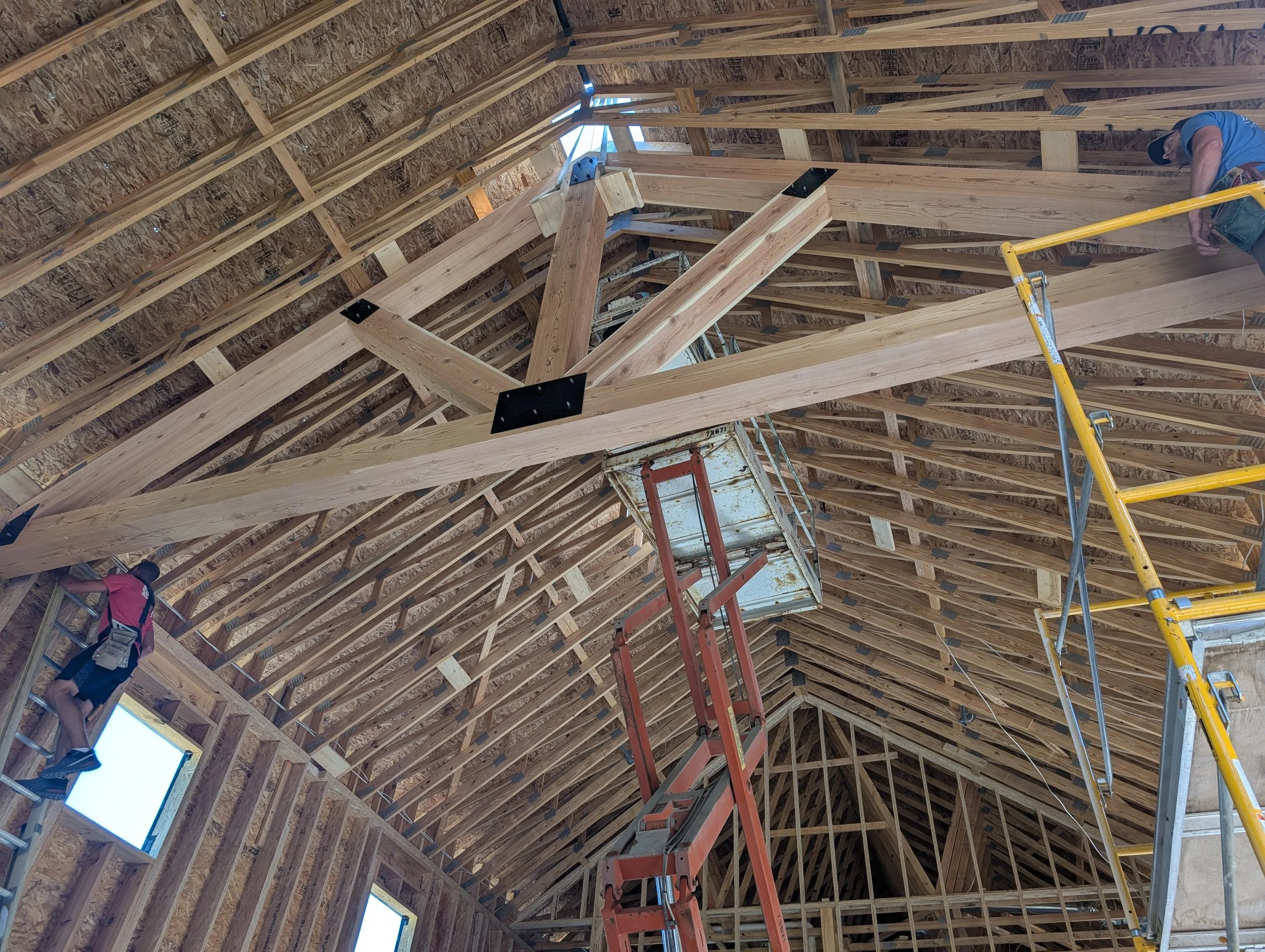 PXL_20250710_162113553.jpg