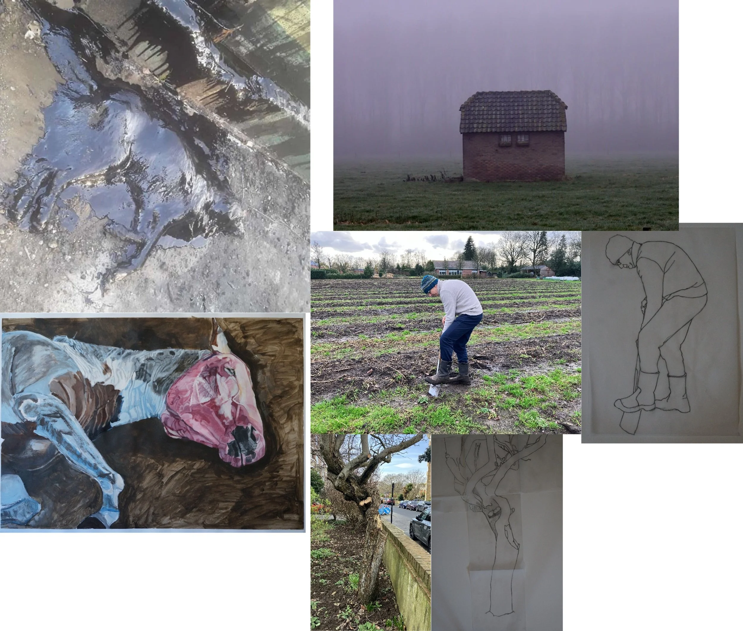 Dream, September 2024 - preparatory works and images