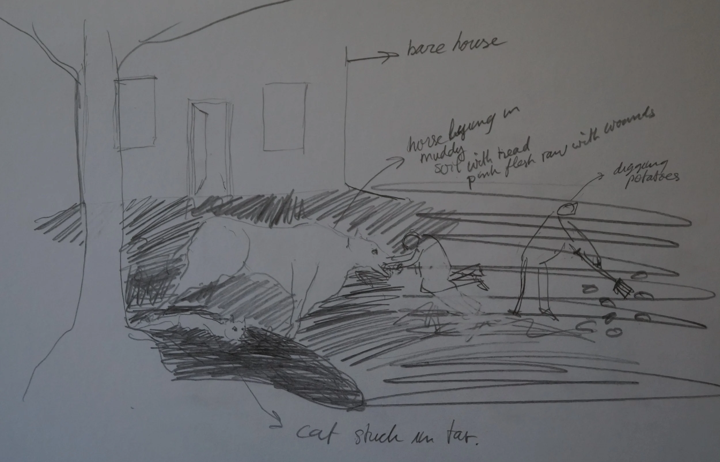 Dream, September 2024 - sketch