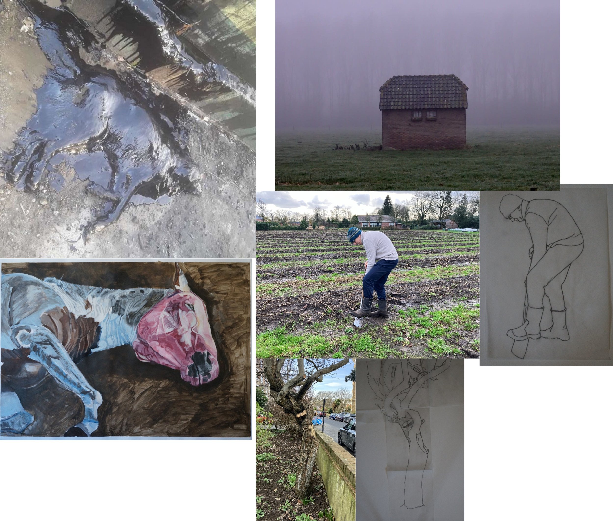 Dream, September 2024 - preparatory works and source images