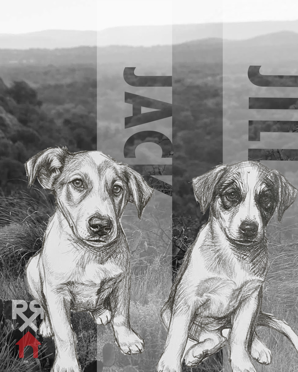 SOCIAL MEDIA + PRESENTATION GRAPHICS