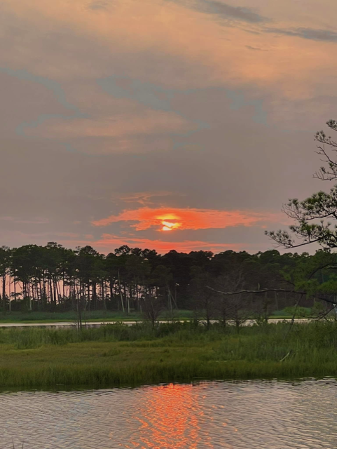 Sunset over a pond with trees and grassy area in the foreground.