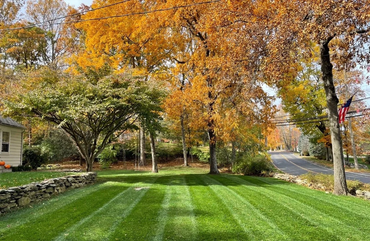 Spring and Fall Cleanup and Maintenance