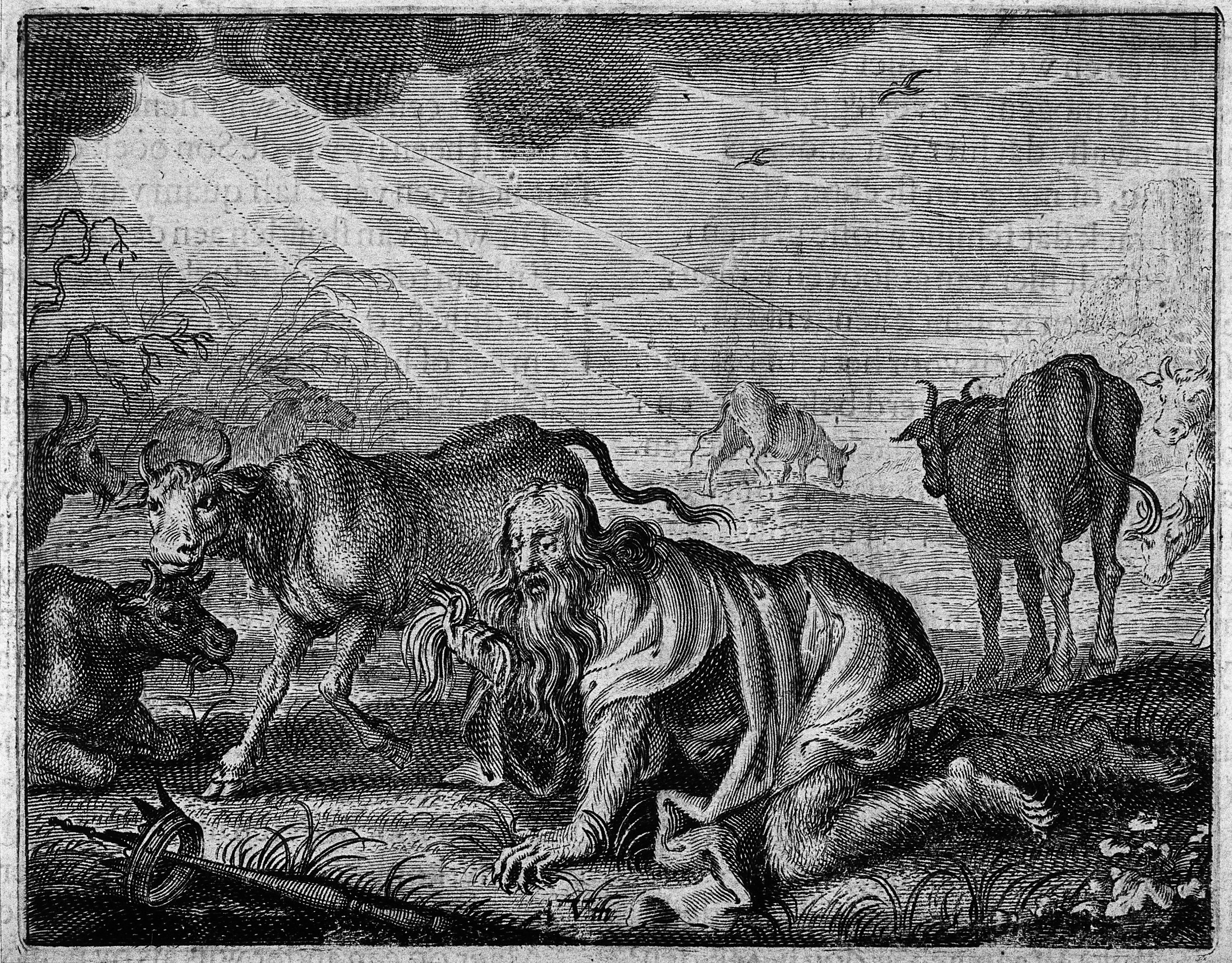 The Interrelations of Climate Change