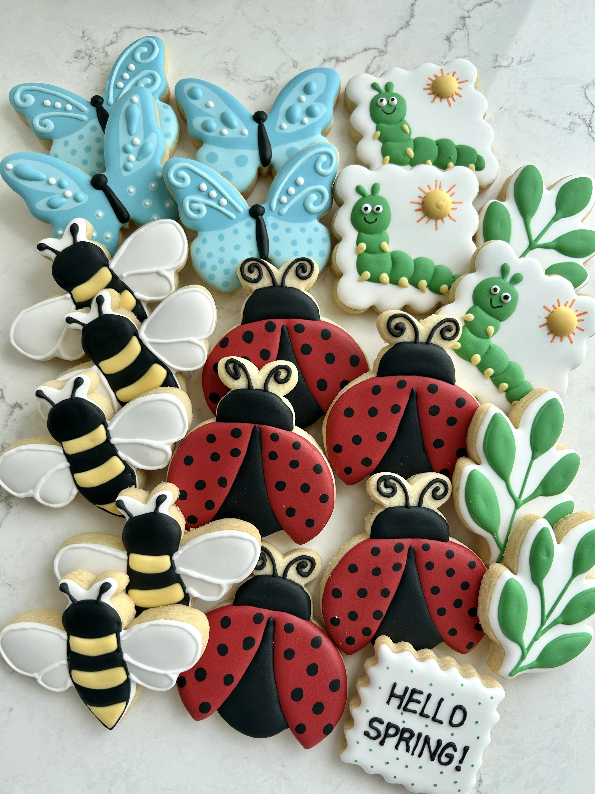  assortment of decorated cookies with springtime themes, featuring butterflies, ladybugs, caterpillars, bees, green leaves, and a sign that reads 'HELLO SPRING!'