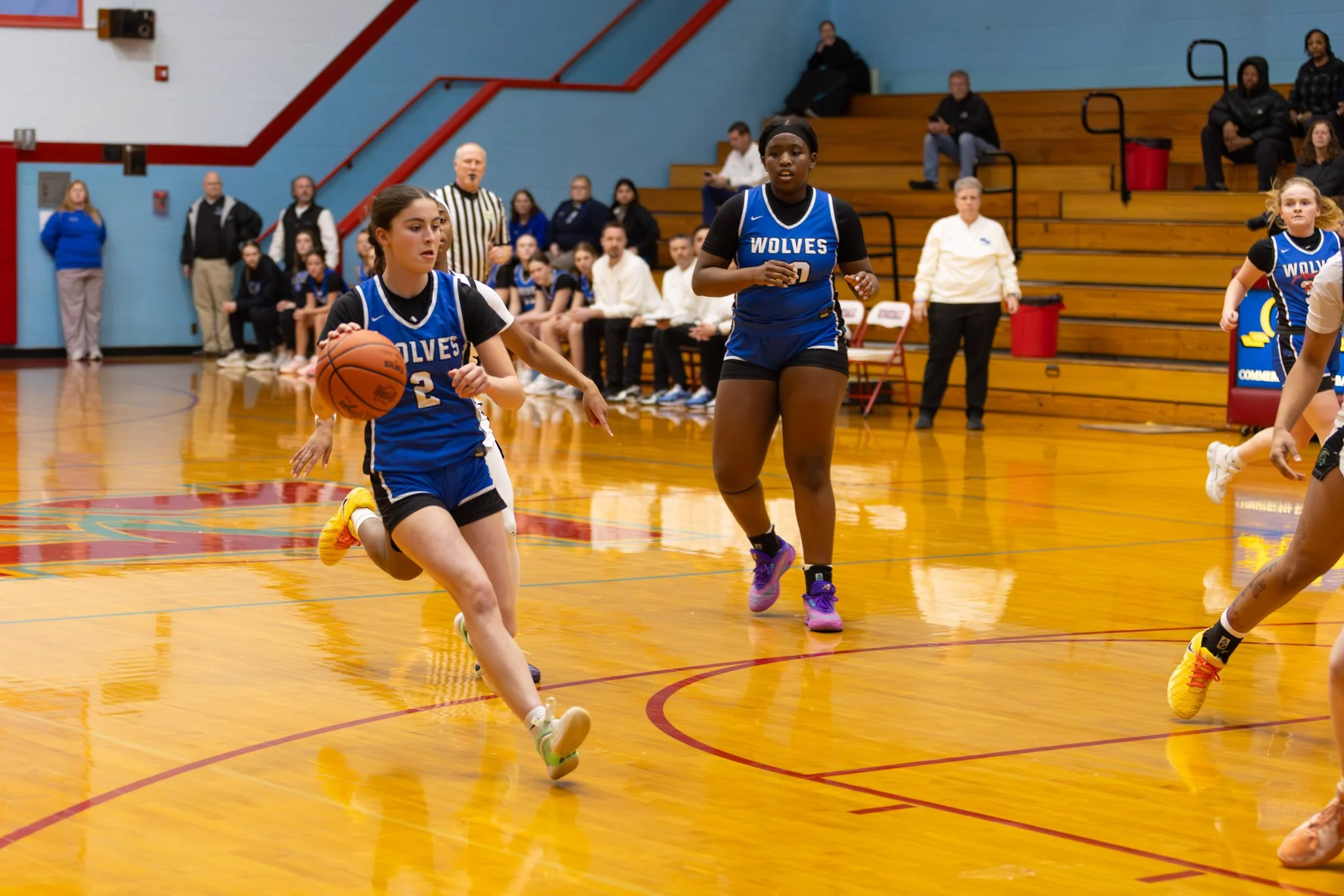 A girls' basketball game with young players in blue jerseys labeled 'WOLVES' on a gymnasium court. One girl dribbles the ball, another runs beside her, with spectators and team bench in the background.