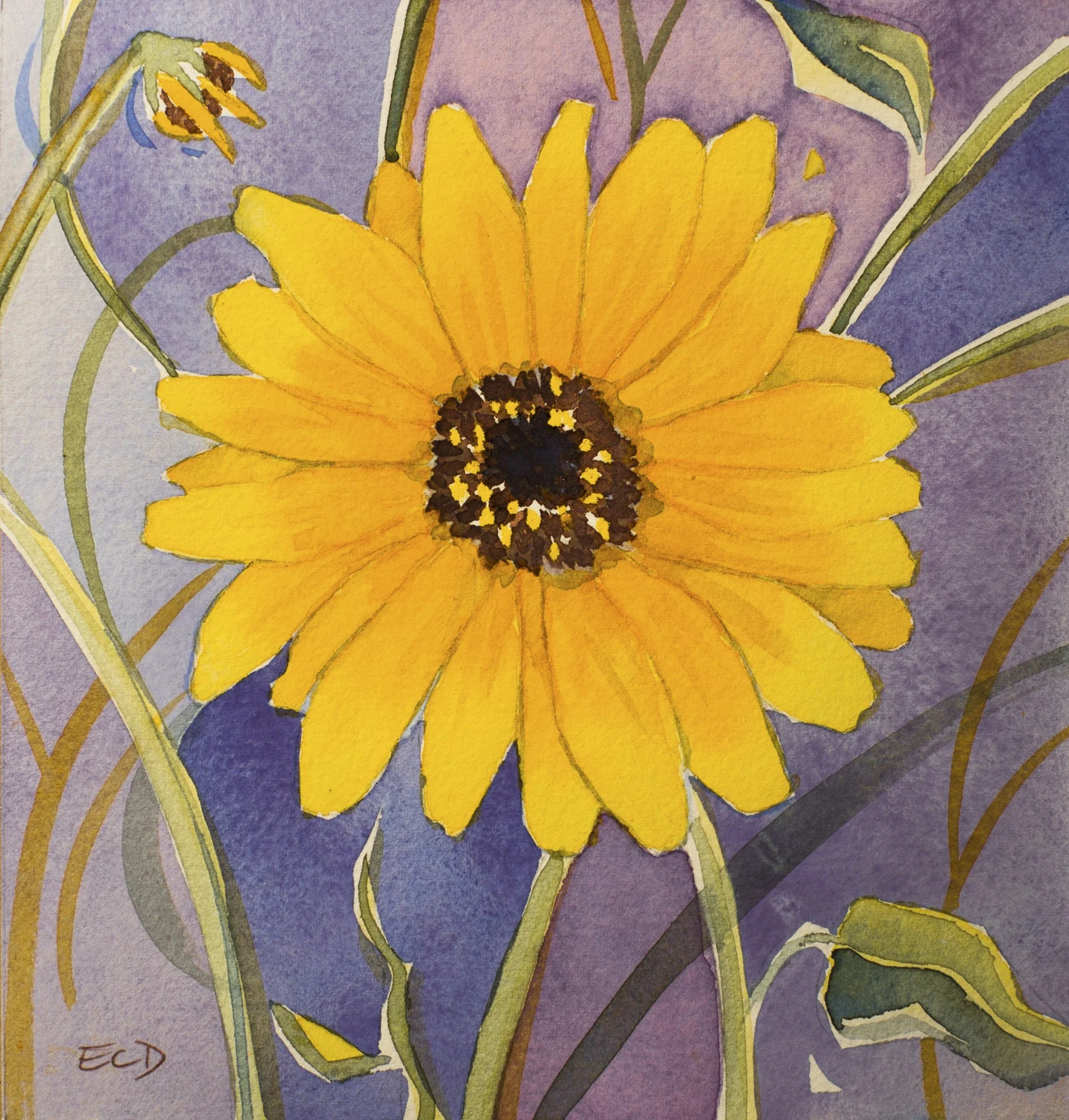 Sunflower.jpg