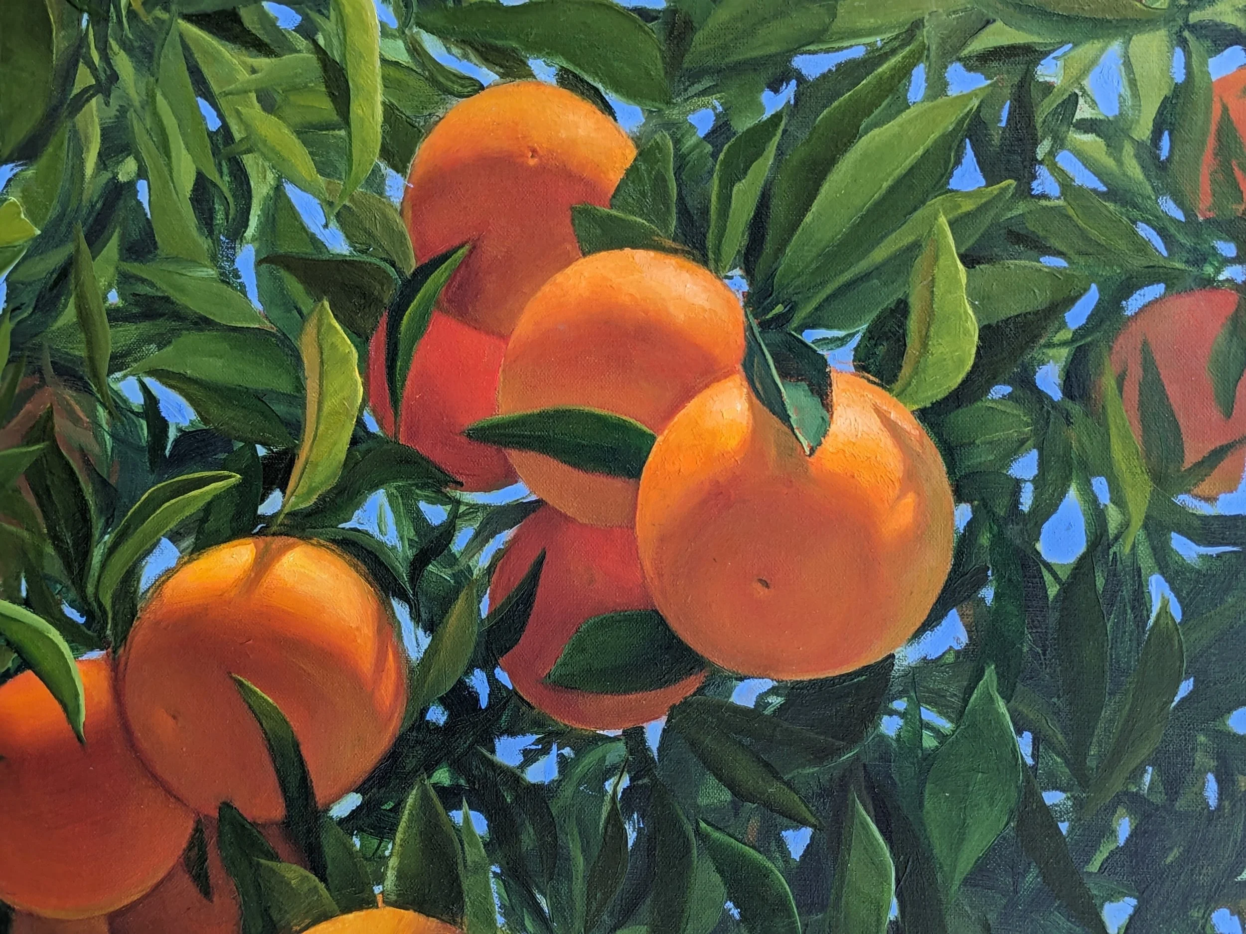 Oranges.jpg