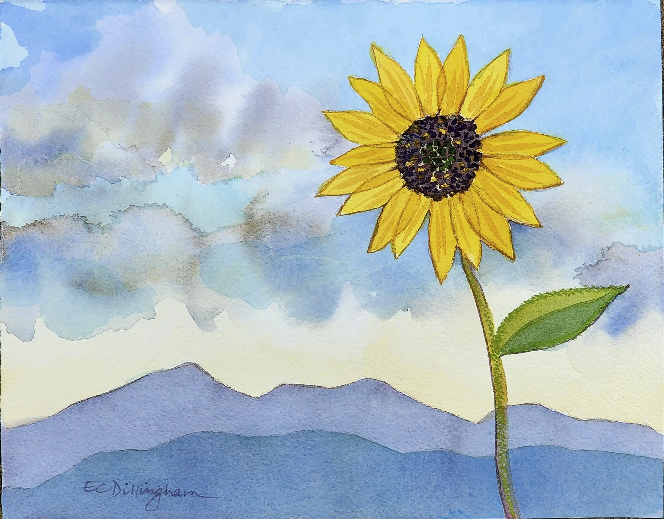 Sunflower and Peaks.jpg