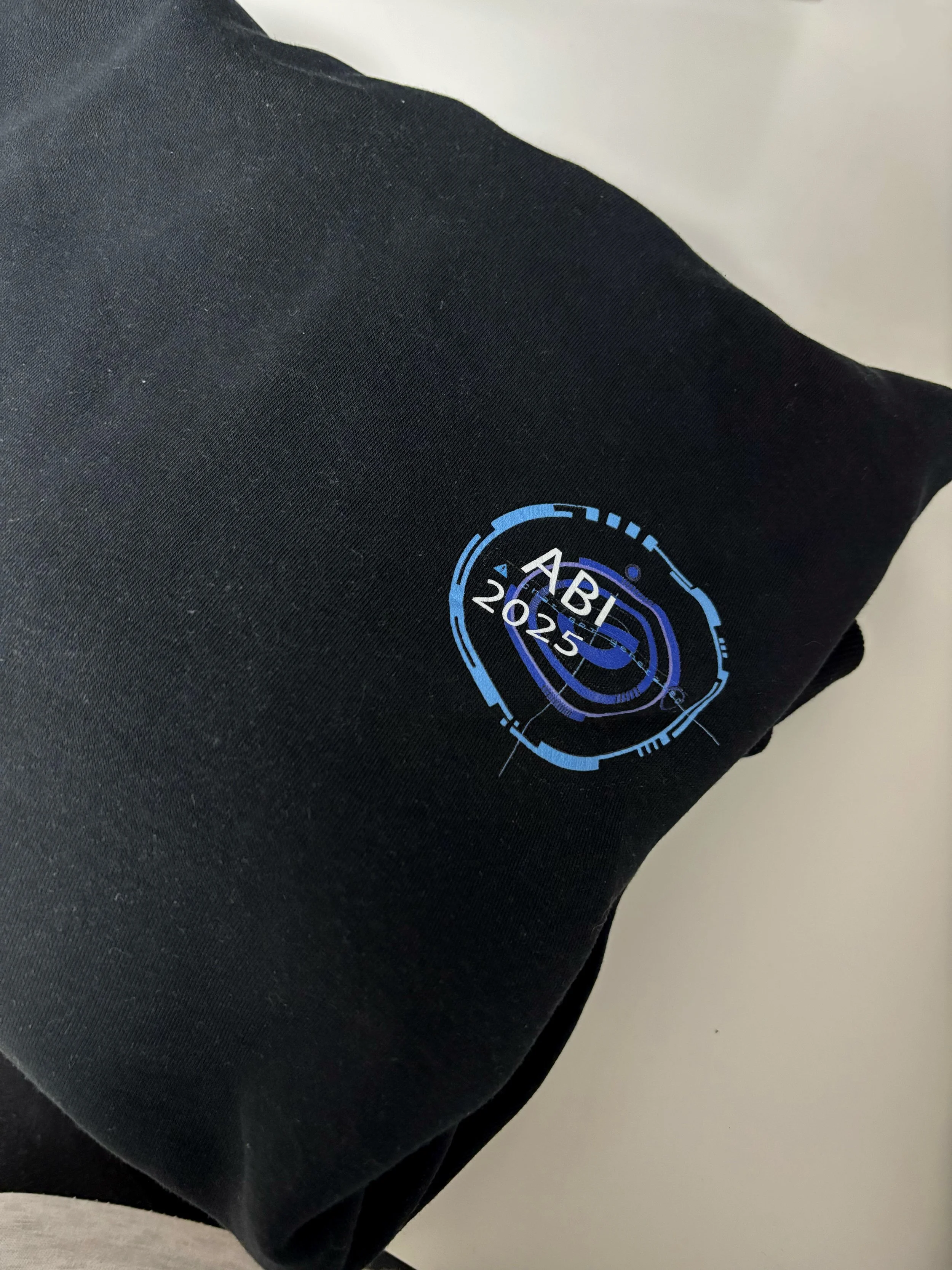 "A(B)I 2025" Graduation Hoodie Logo designed by me (note: unfortunately, when they arrived, we noticed that they didn't/couldn't print the logo I designed originally (╥﹏╥))