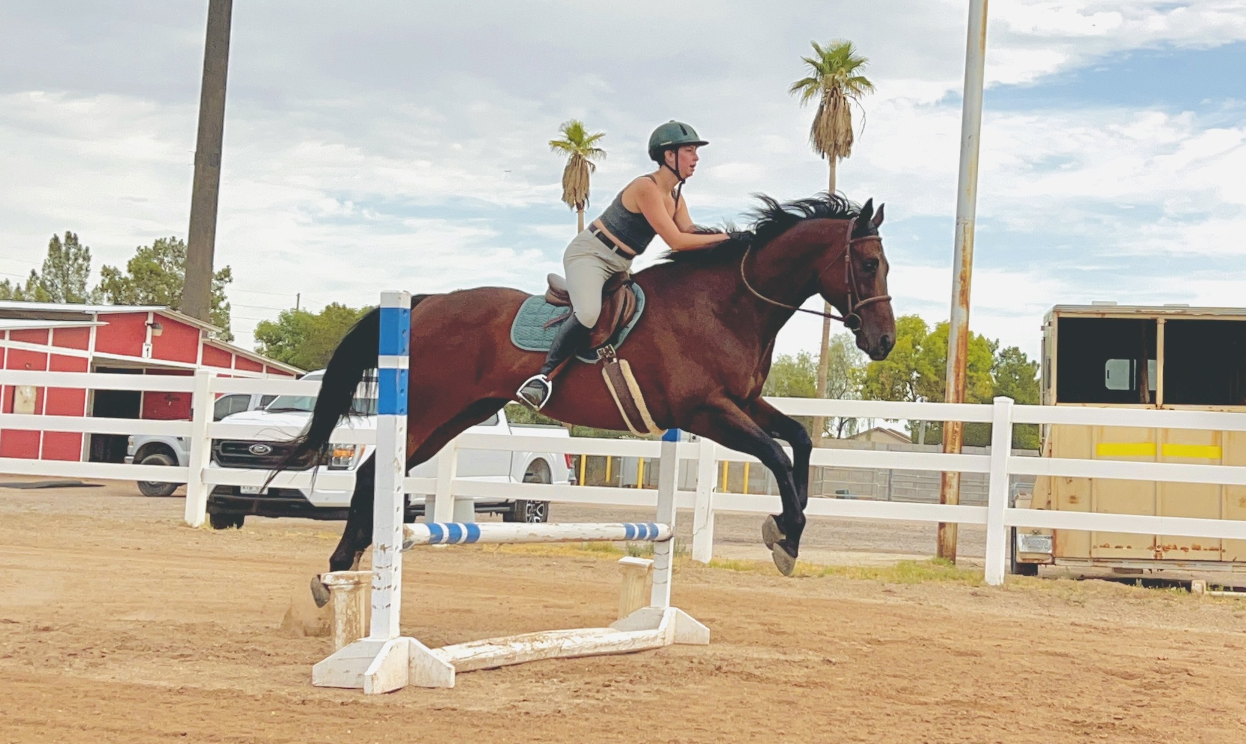 A female equestrian riding a brown horse over a jumping obstacle at an outdoor equestrian facility, with a red barn, parked cars, and palm trees in the background.