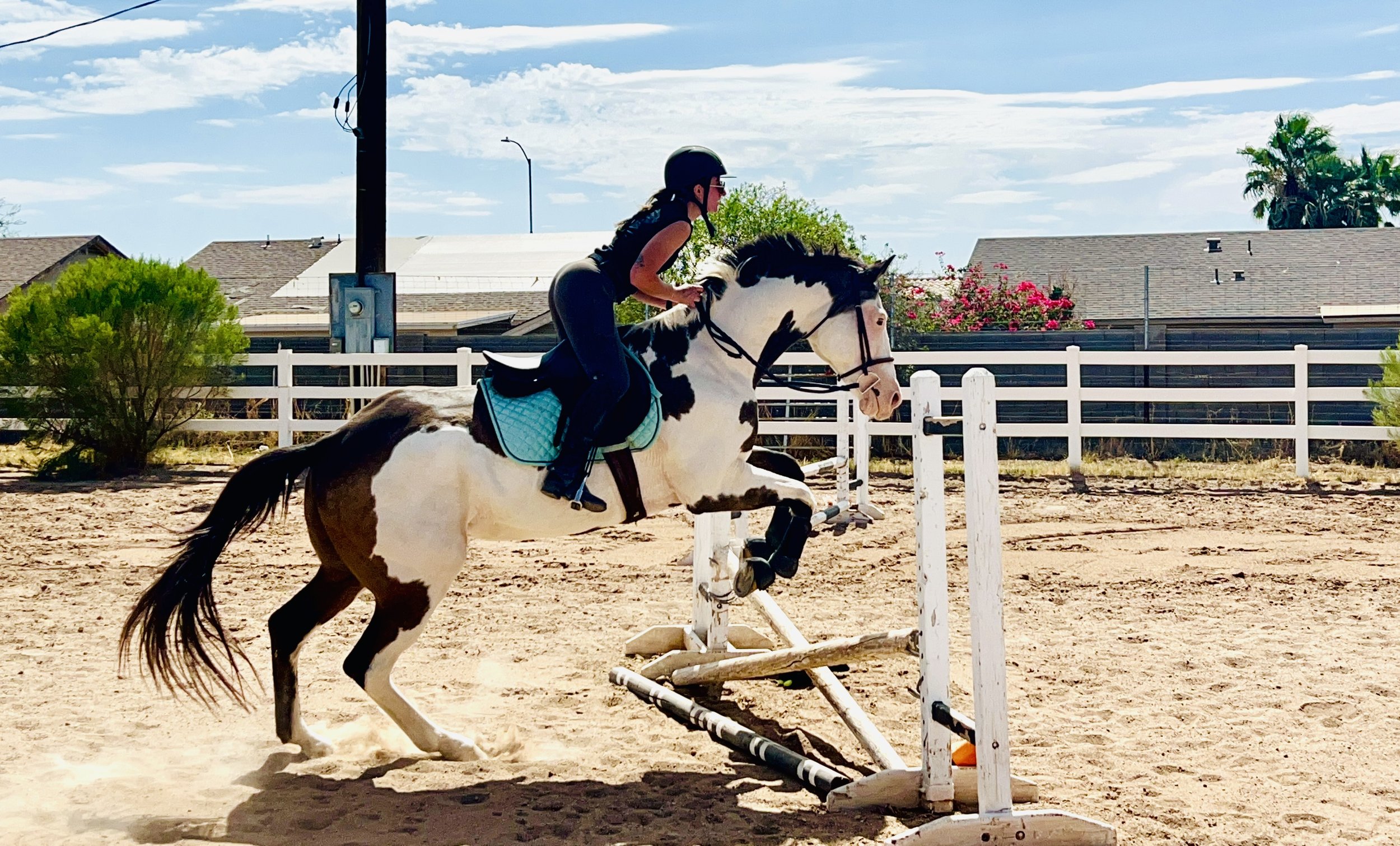 A girl wearing a helmet and riding a black and white horse jumping over an obstacle in an outdoor riding arena with houses, trees, and a blue sky with clouds in the background.