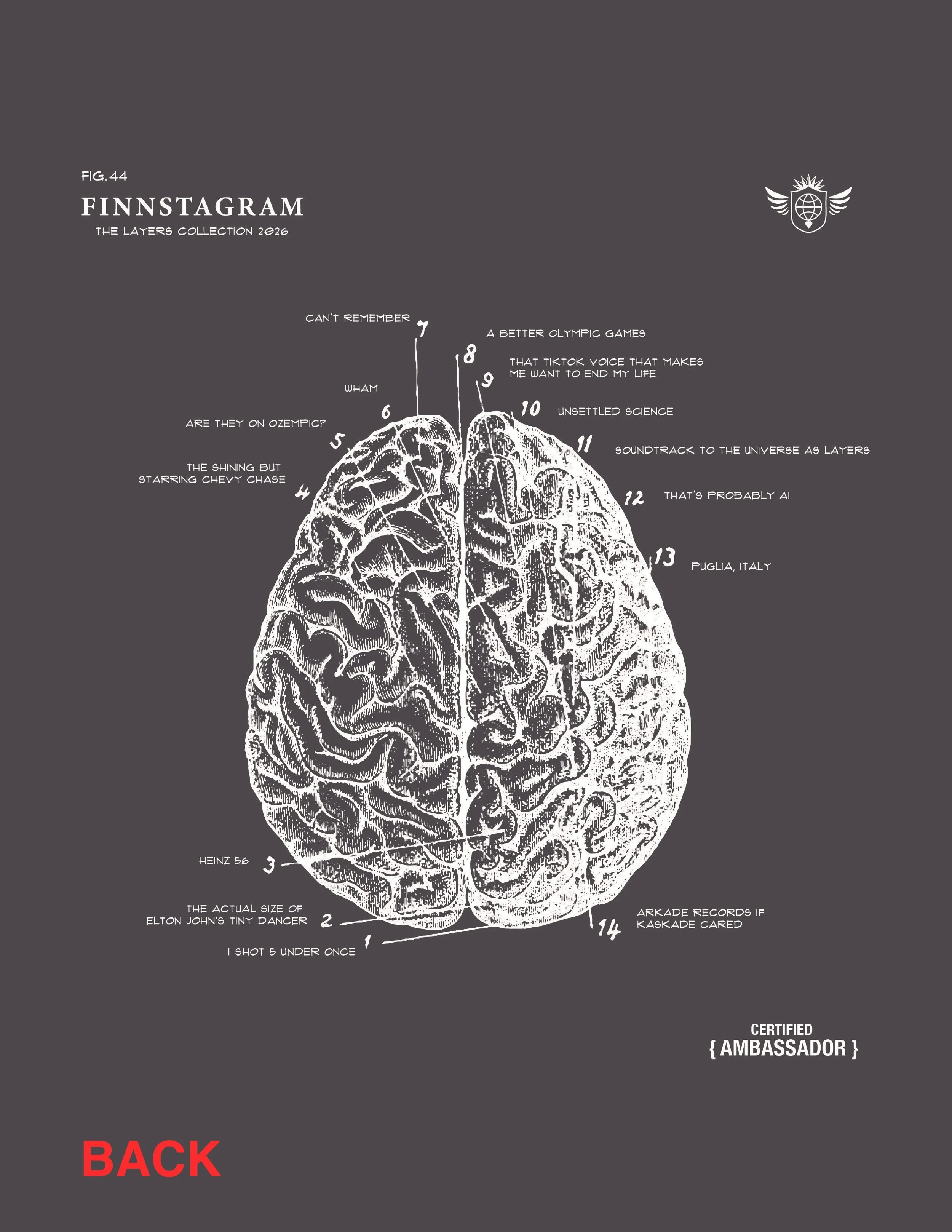 Finnstagramjpg_UNSETTLED Back.jpeg