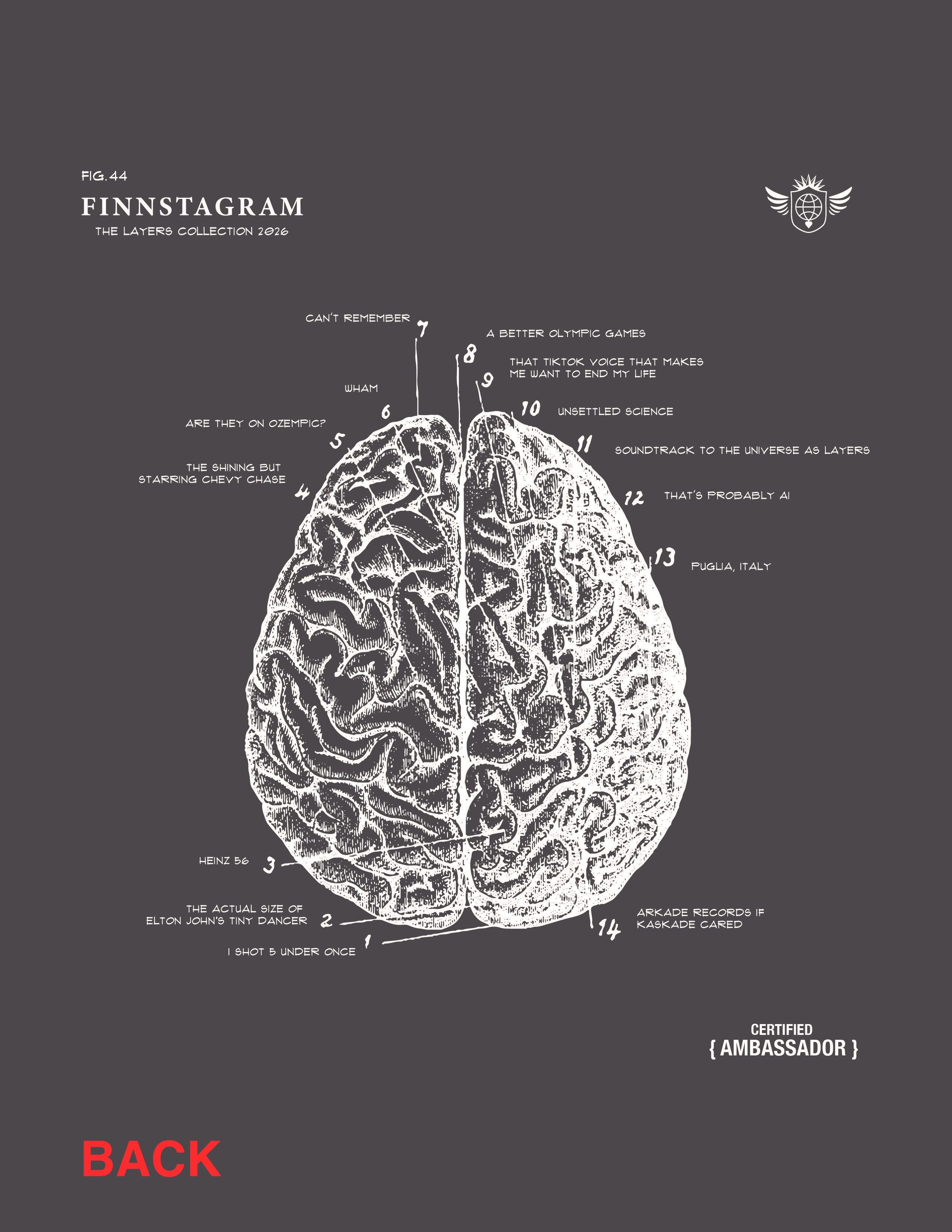 Finnstagramjpg_UNSETTLED Back.jpeg
