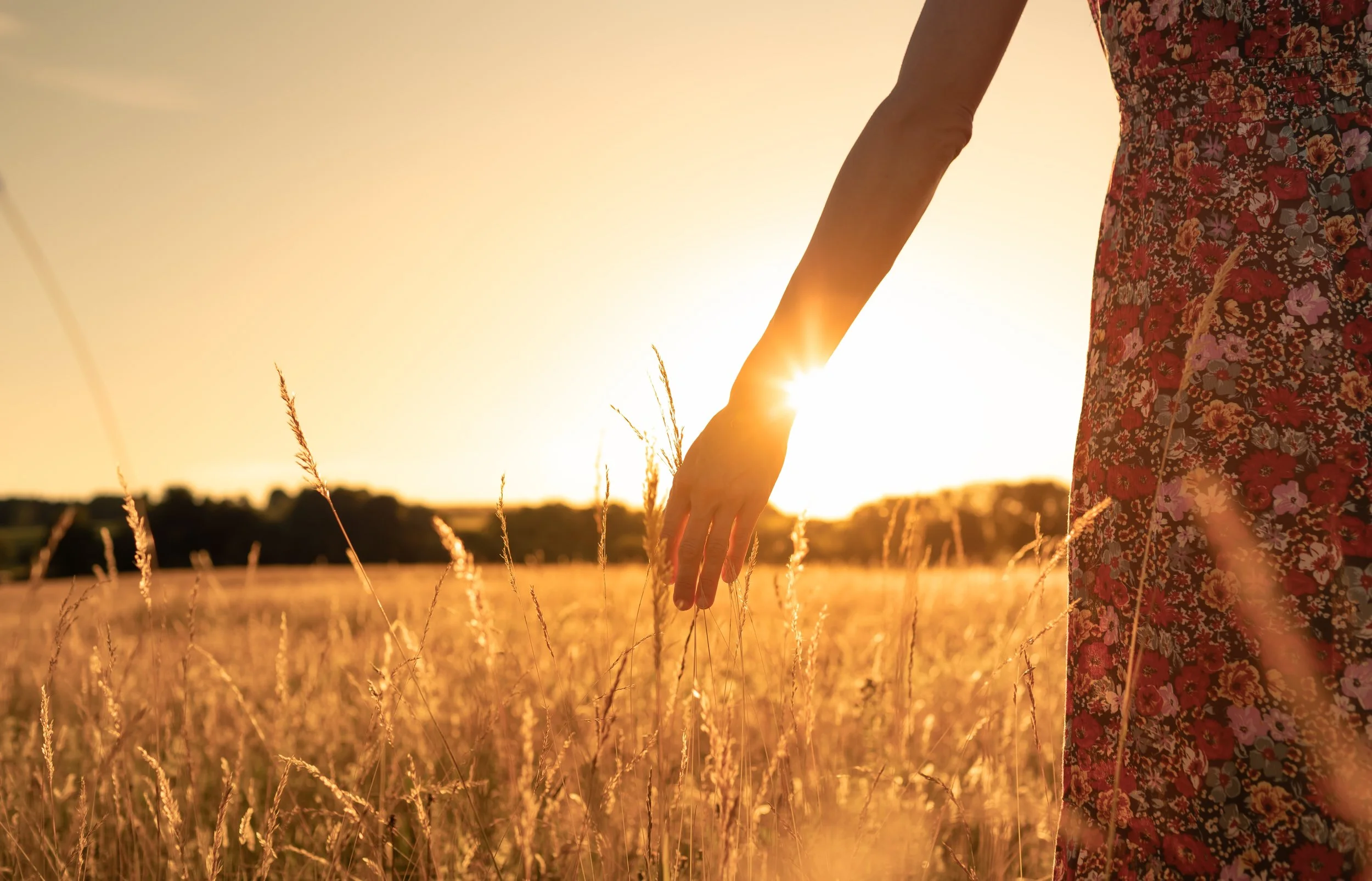 A person in a floral dress standing in a field at sunset, holding out their hand amidst tall grass.