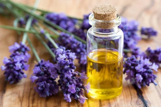 lavender 1.jpg