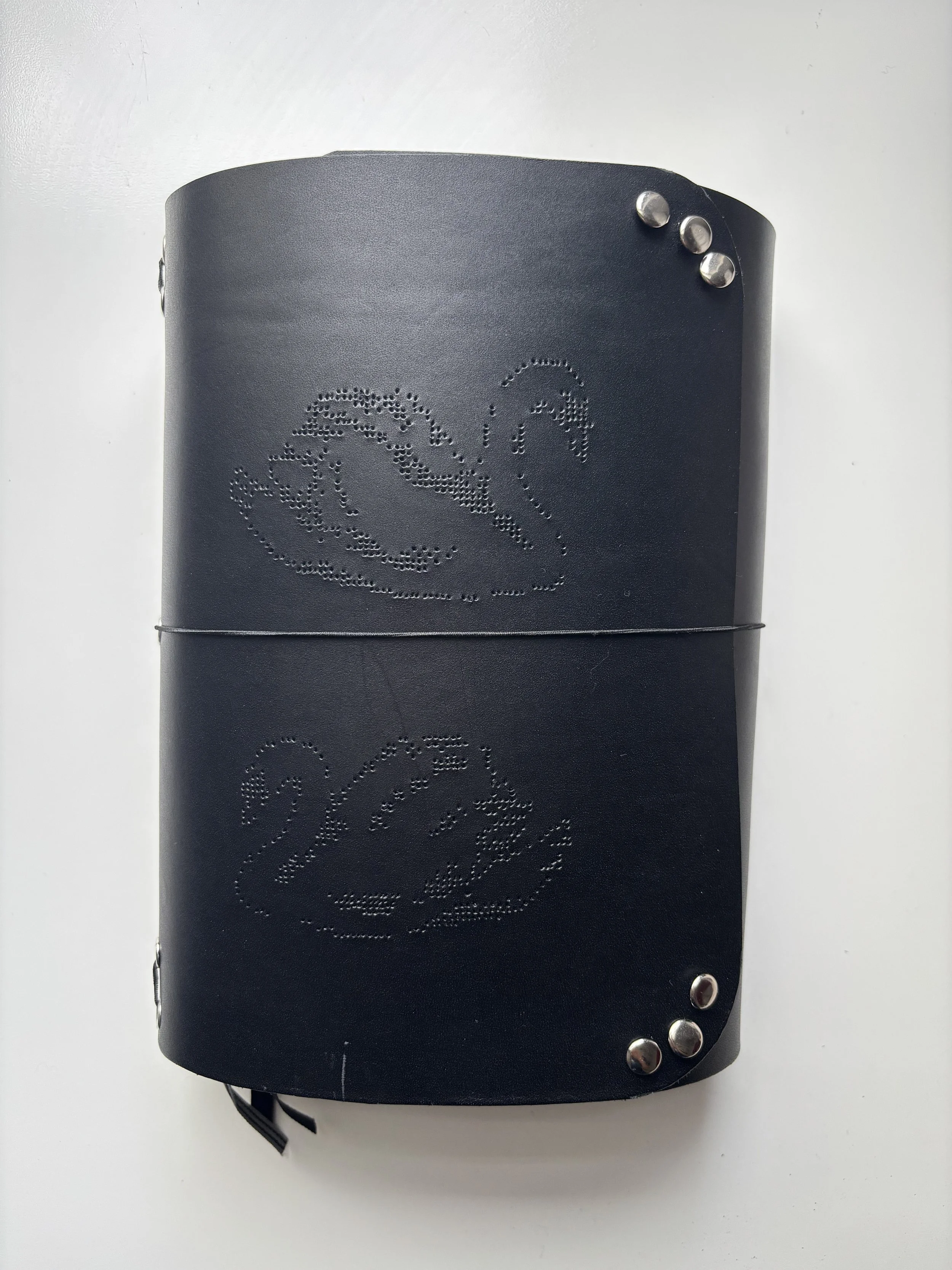 B6 cocoa - swan (iNCLUDES 3 PLAIN INSERTS)