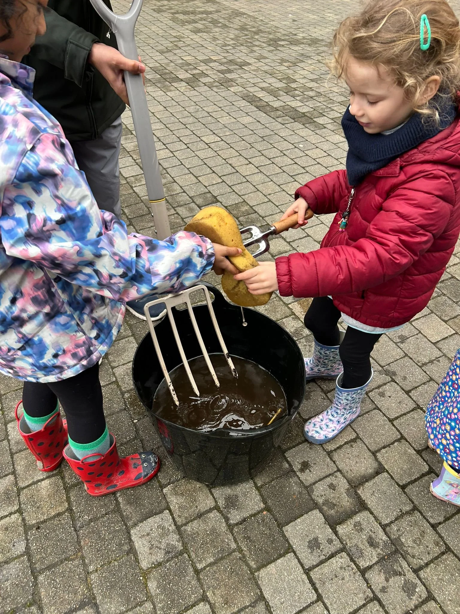 sunflower aitd 2.jpeg