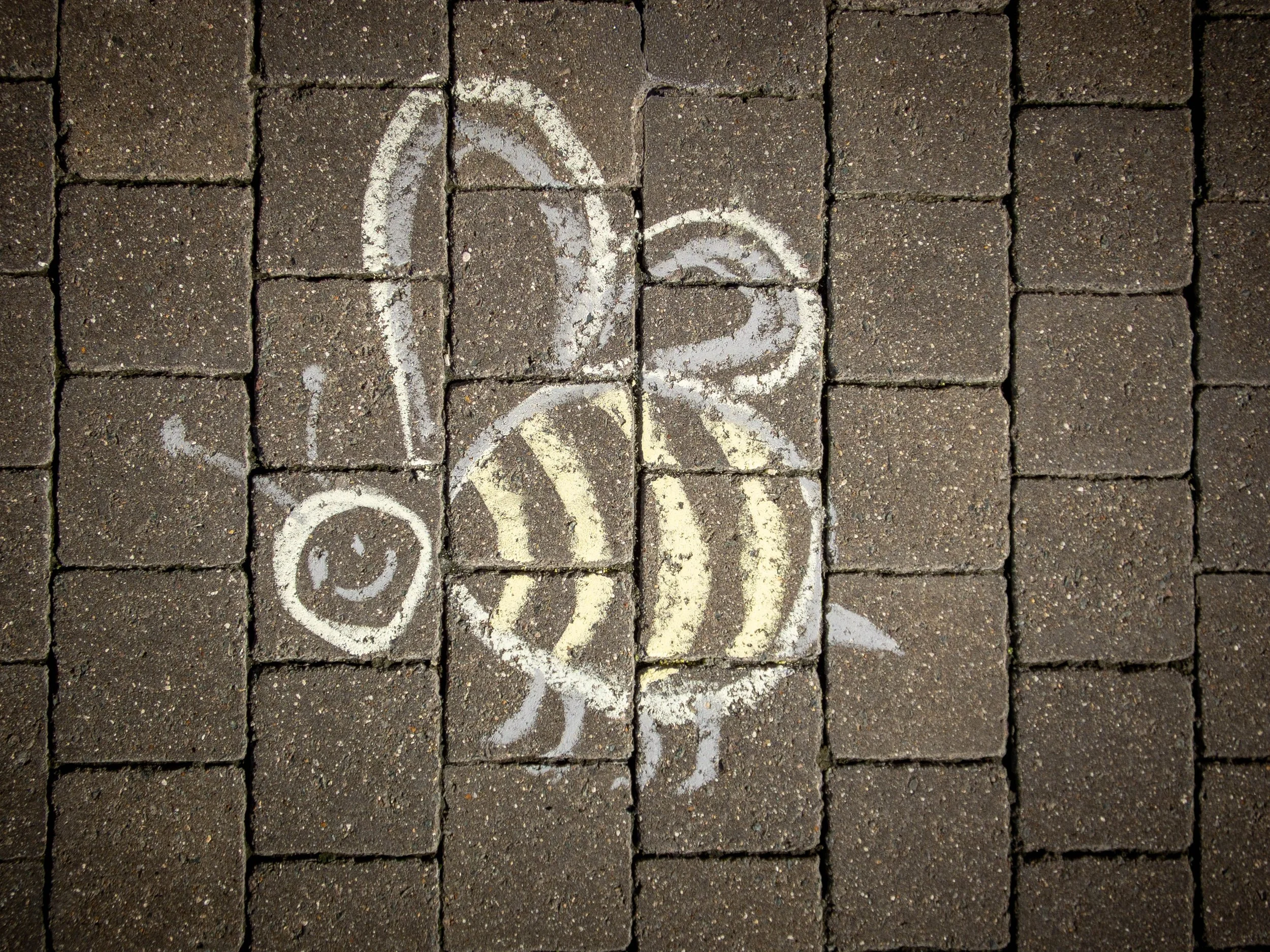 DSCF3037.jpg