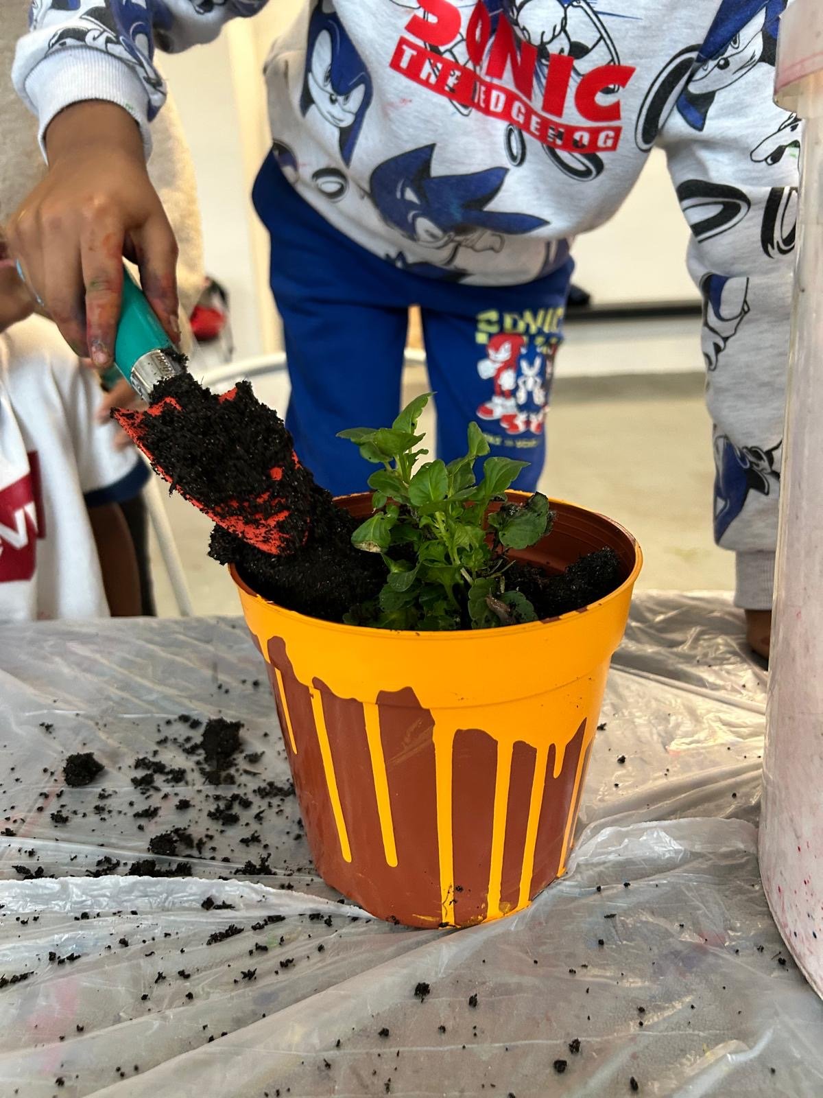 5c77f3b9-2397-475e-9823-cd27cb588245 (1).JPG