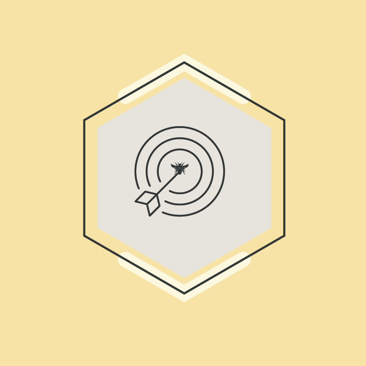 Strategy Intensive + 3x Coaching