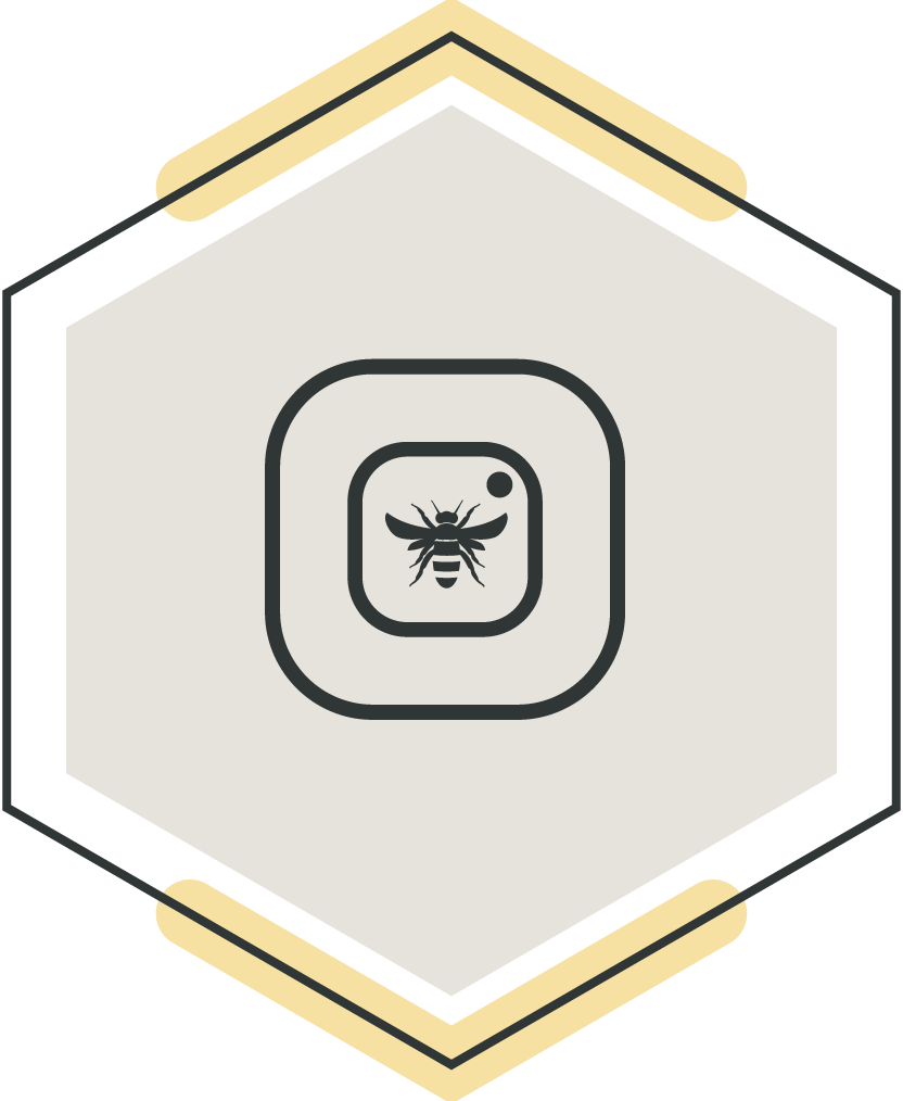 Icon with a honey bee inside a square, surrounded by stylized hexagon shape with honey-colored accents.