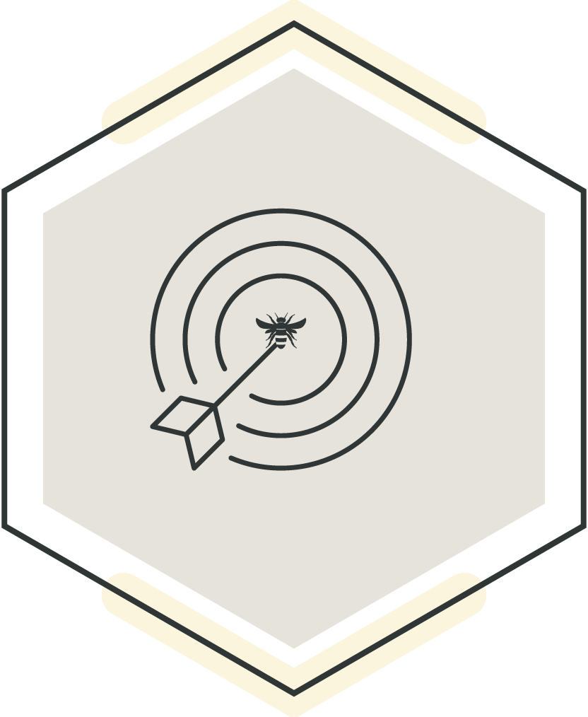 A black and white illustration of a bee in the center, with concentric circles around it, and an arrow pointing at the bee, all enclosed within a hexagonal shape.