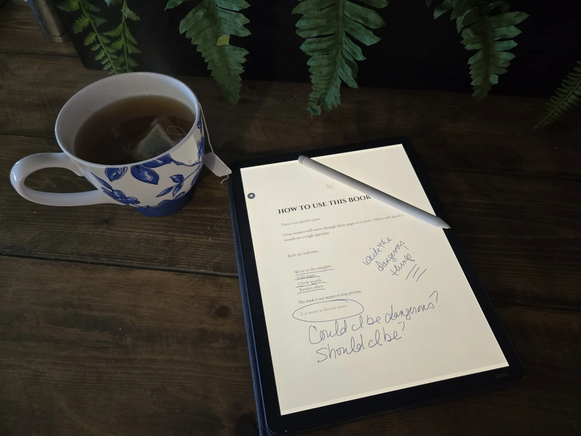 12-first-spark-tea-journal.jpg