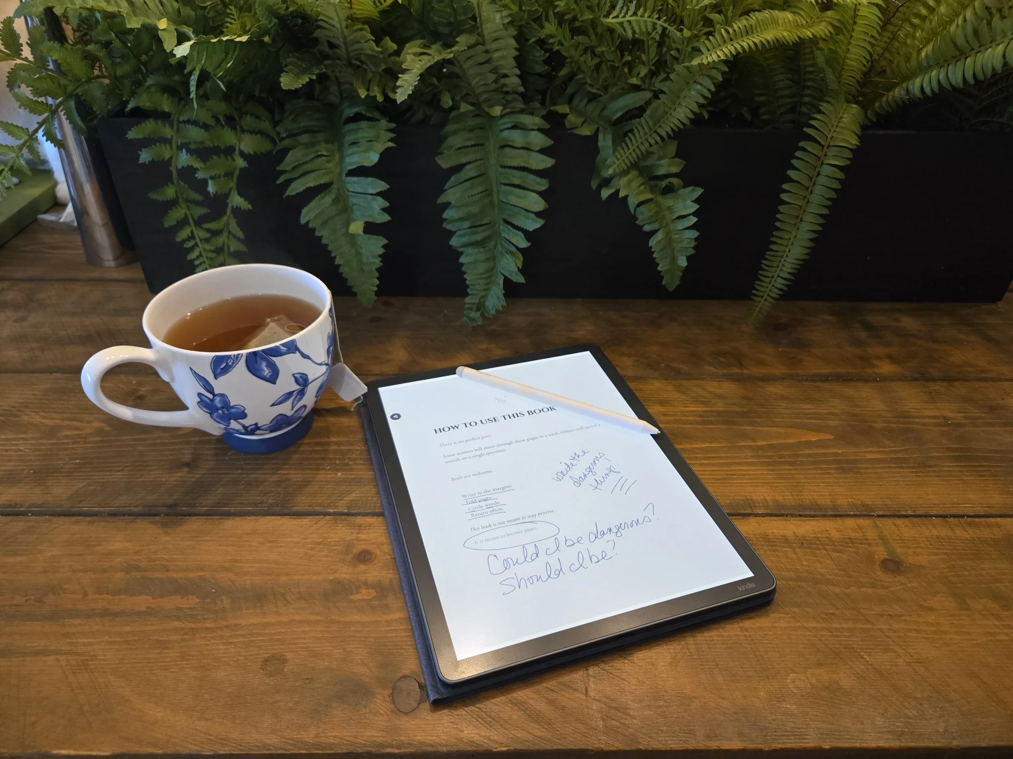 14-first-spark-kindle-tea.jpg