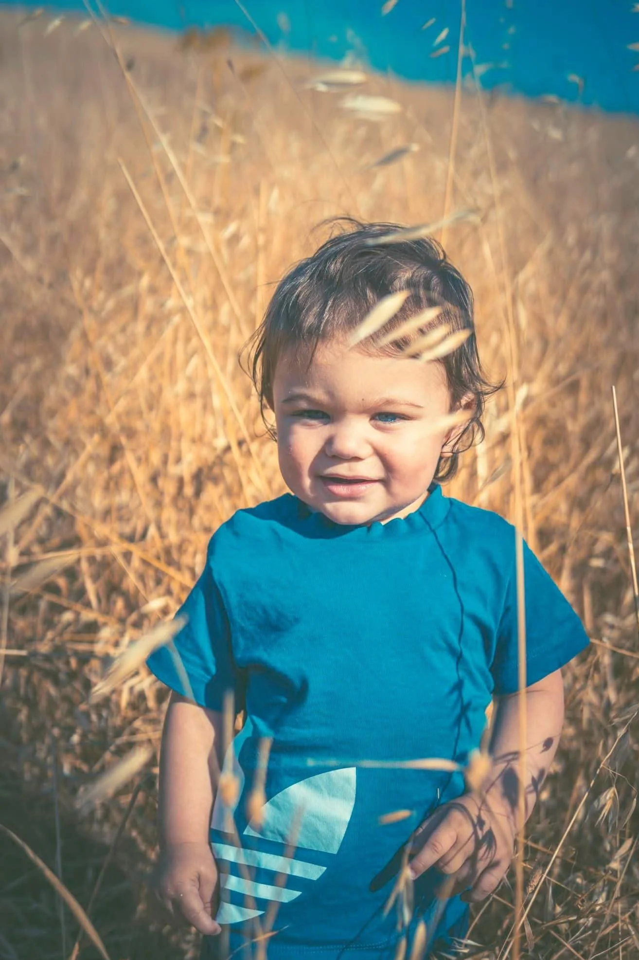 A young child with wet hair and a blue t-shirt standing among tall, dry grass on a sunny day, with a bright blue sky in the background.